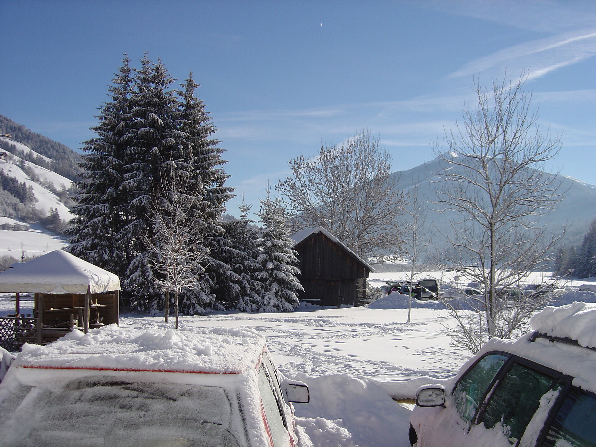 Winter