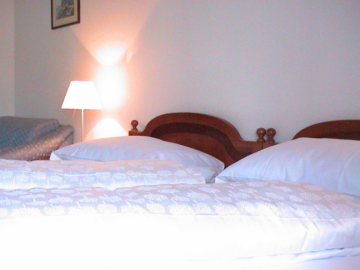 Hotel  Brandl Innichen 6 suedtirol.info