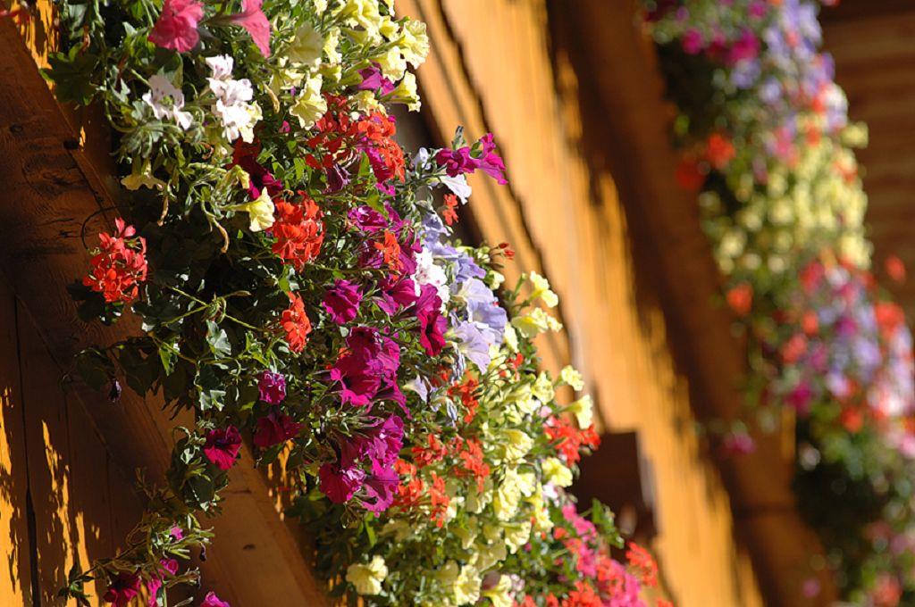 Hotel Gasthof Lindenhof Innichen 17 suedtirol.info