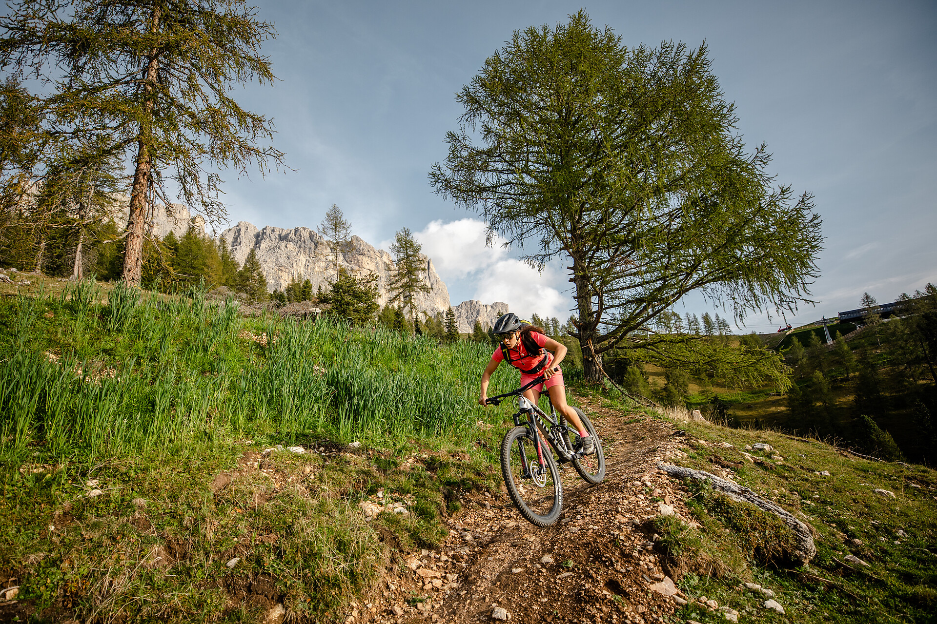 Gita in bici
