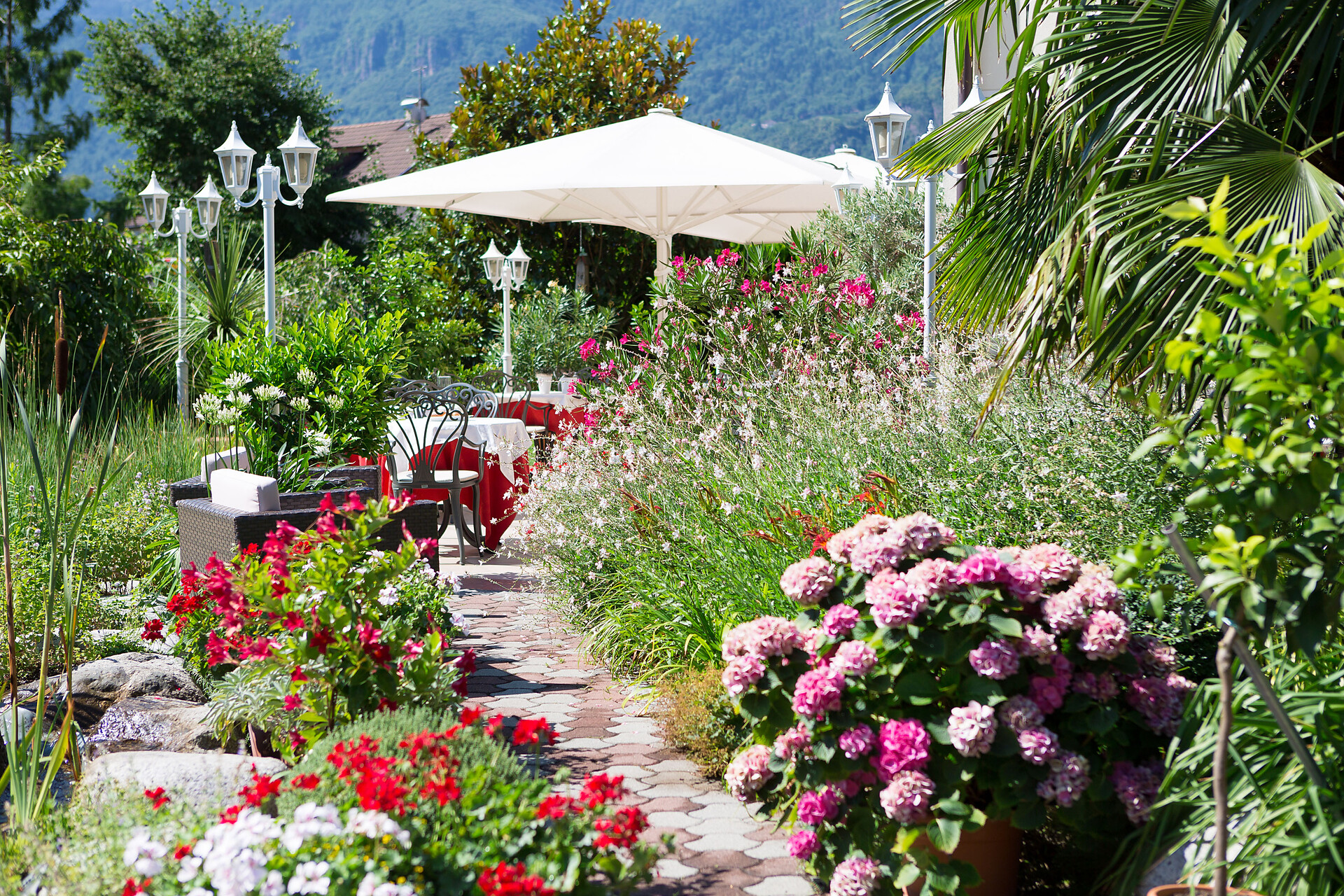 garden