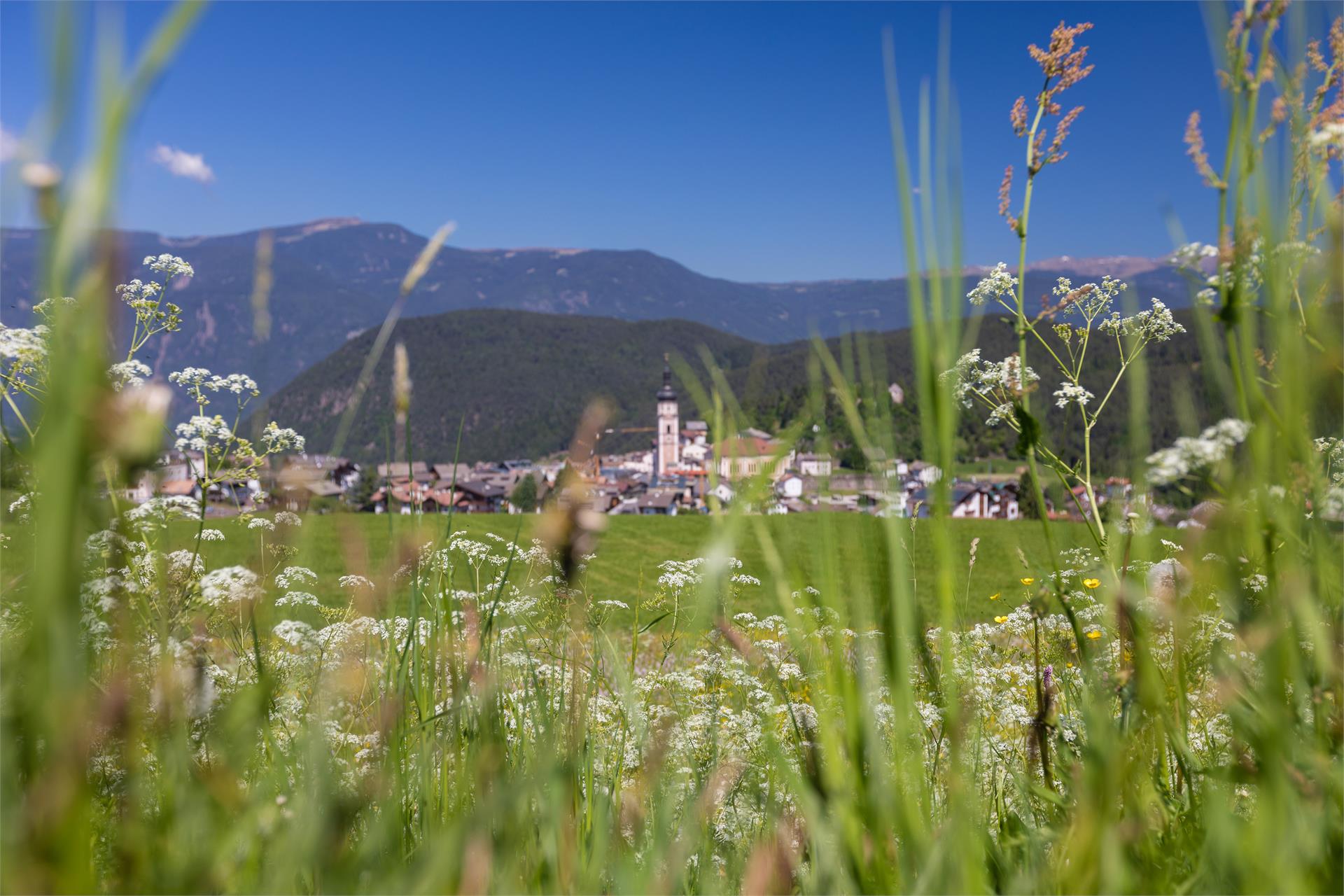 Hotel Rosslaufhof Kastelruth 15 suedtirol.info