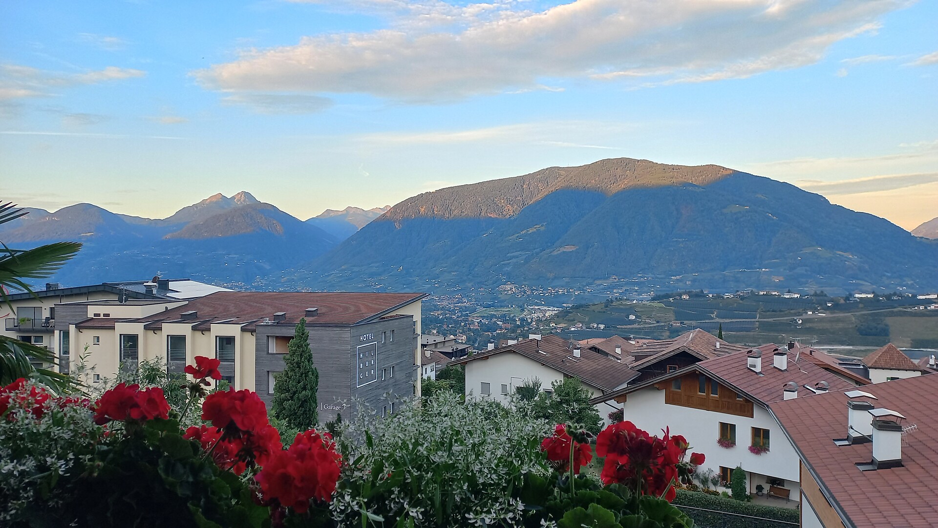 Panorama