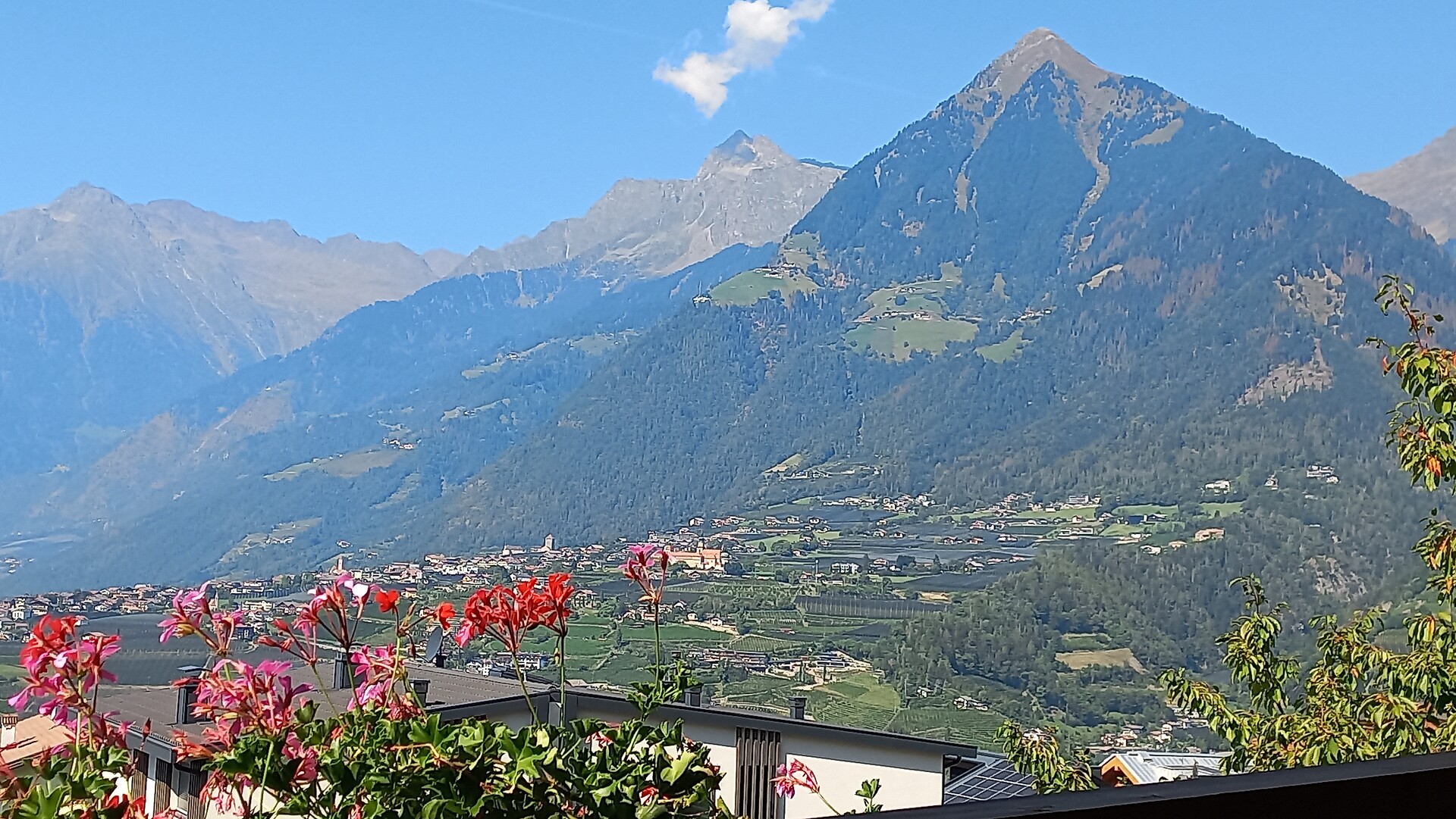 Panorama