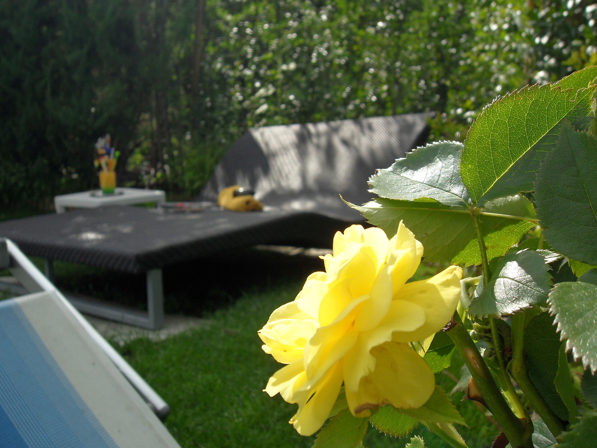 Lettino piscina
