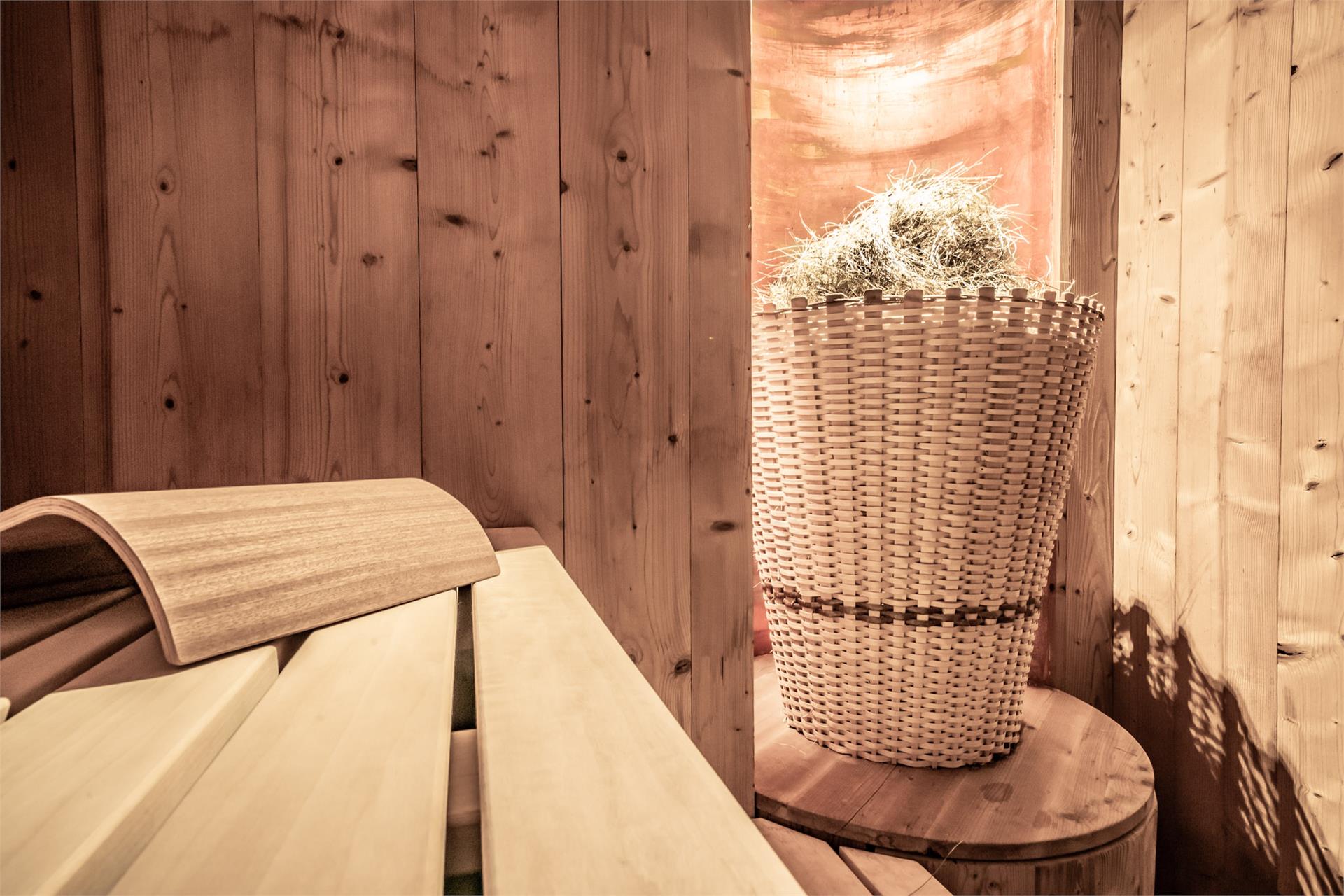 Hotel Luna Mondschein St.Ulrich 21 suedtirol.info
