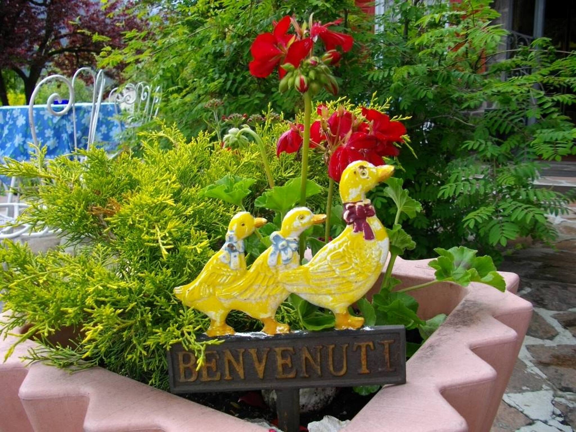 Giardino