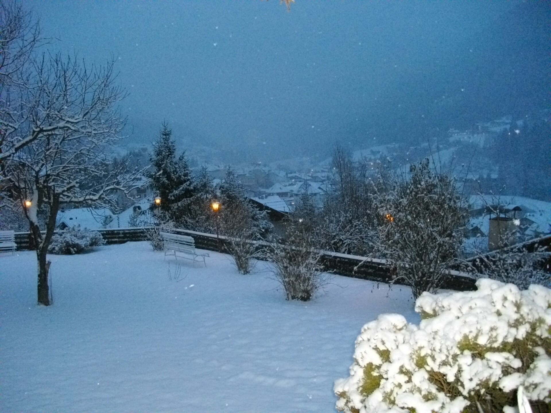 Giardino