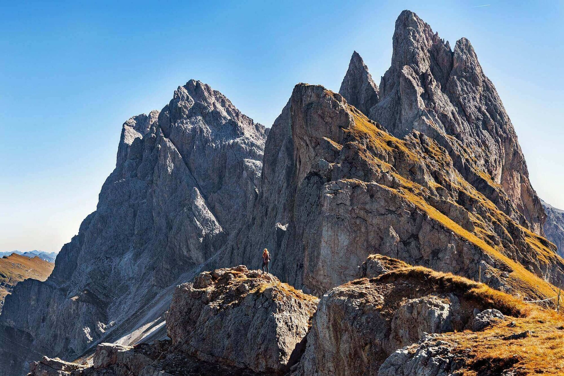 seceda
