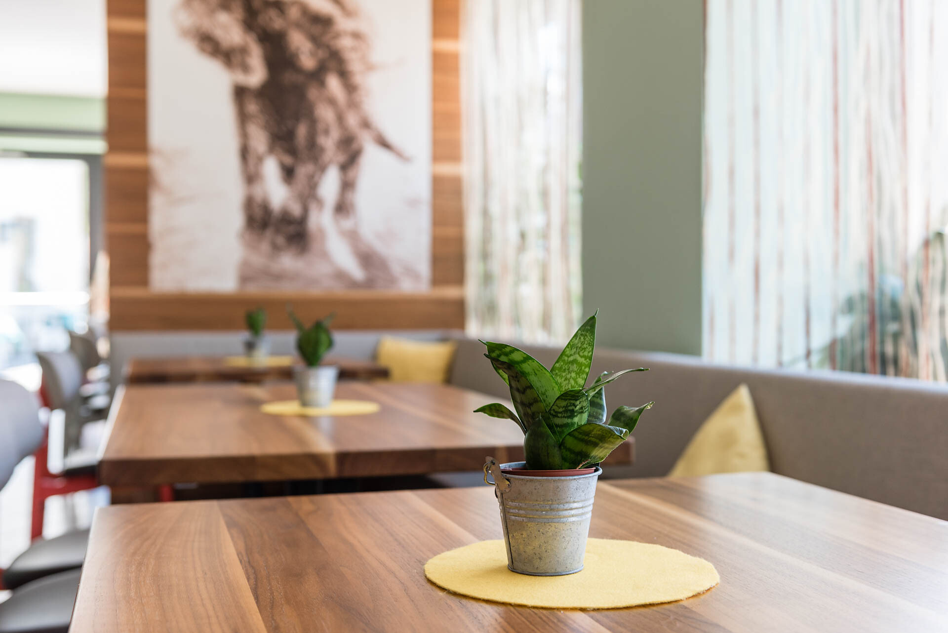 Bar Hotel Elefant