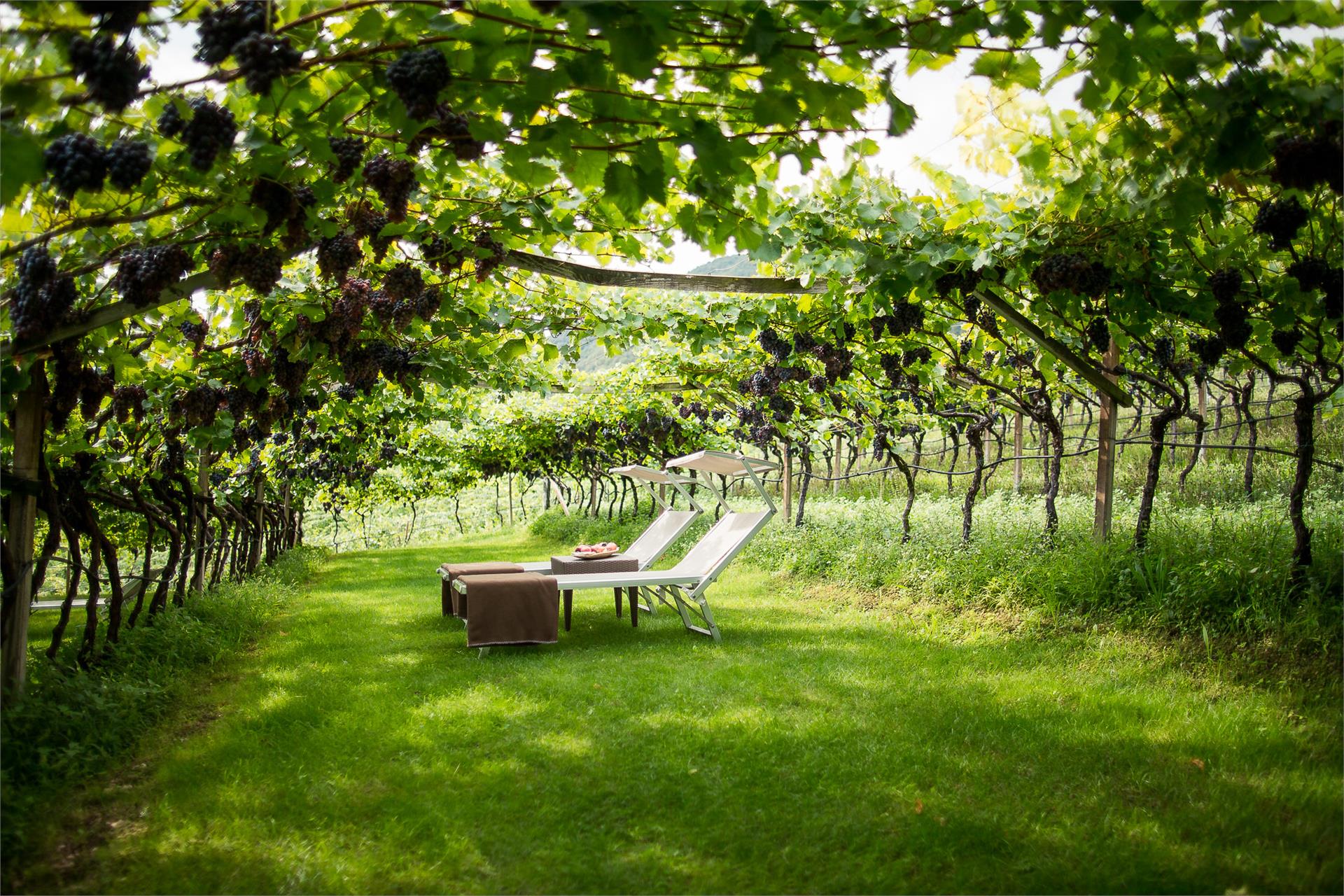 Hotel Haus am Hang Kaltern an der Weinstraße/Caldaro sulla Strada del Vino 15 suedtirol.info