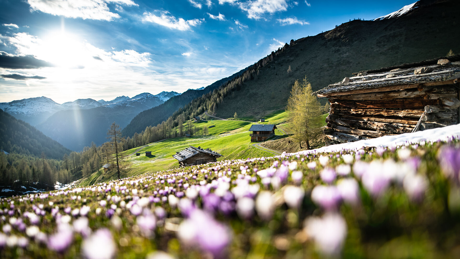 Landscape and activity