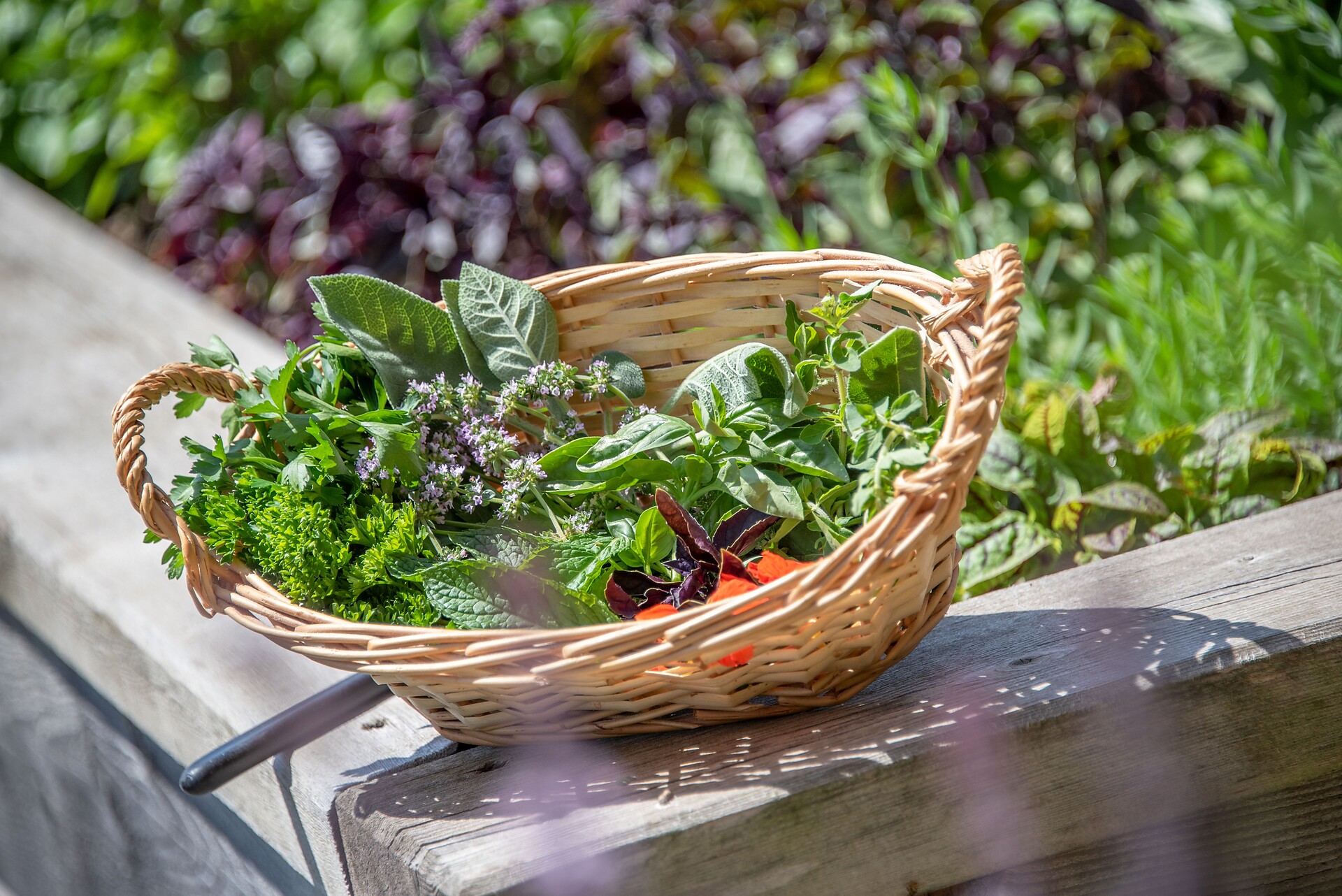Garten