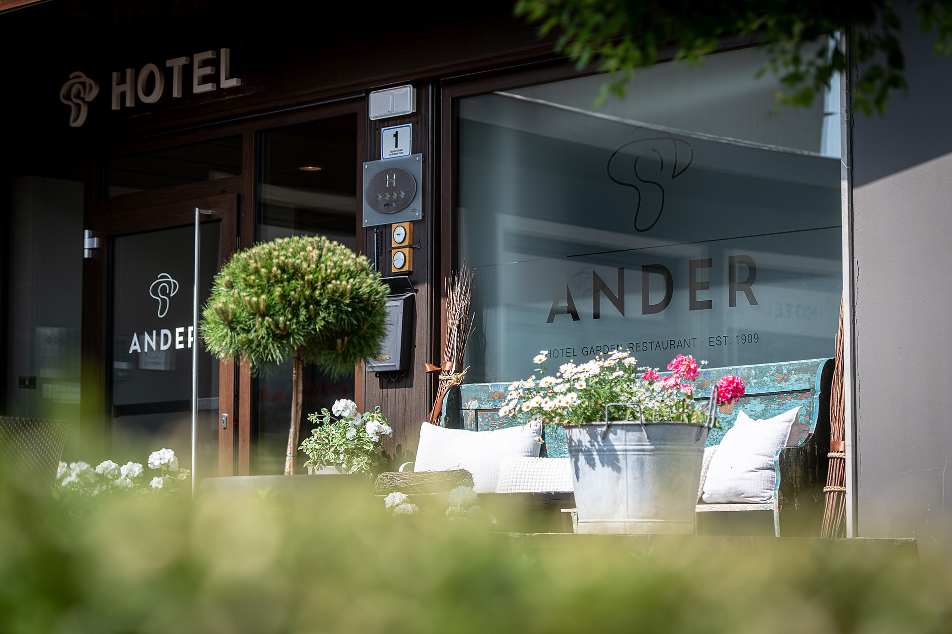 Ander estate entrata