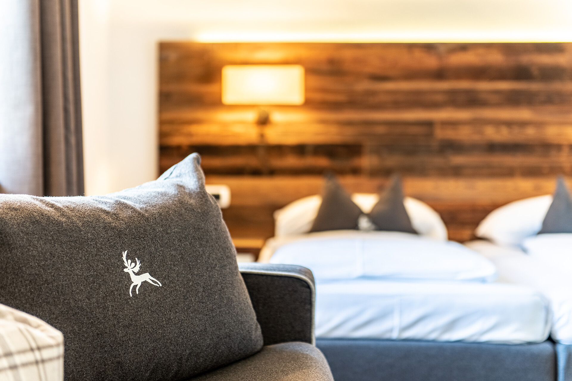Hotel Ander Suite Detail
