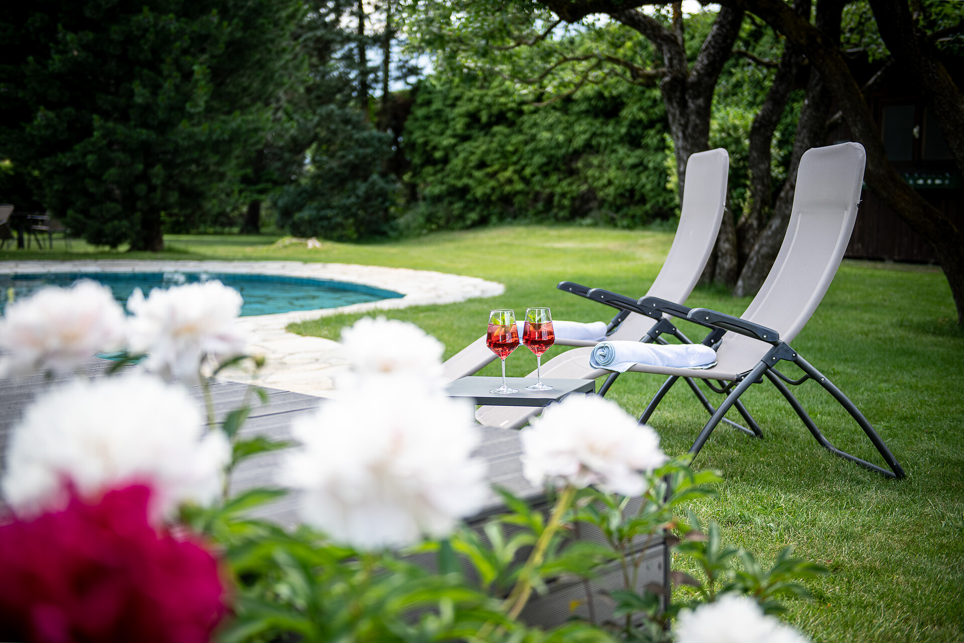 Hotel Ander giardino fiori