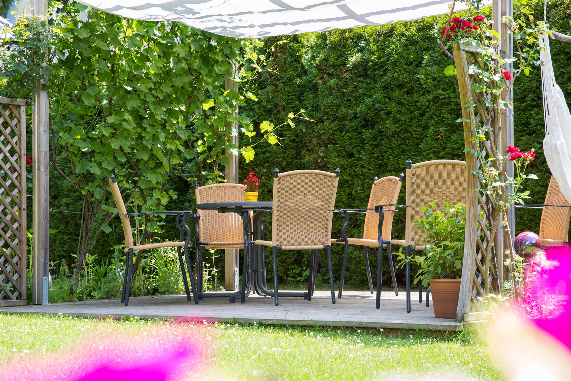 Hotel Martha Bruneck 3 suedtirol.info