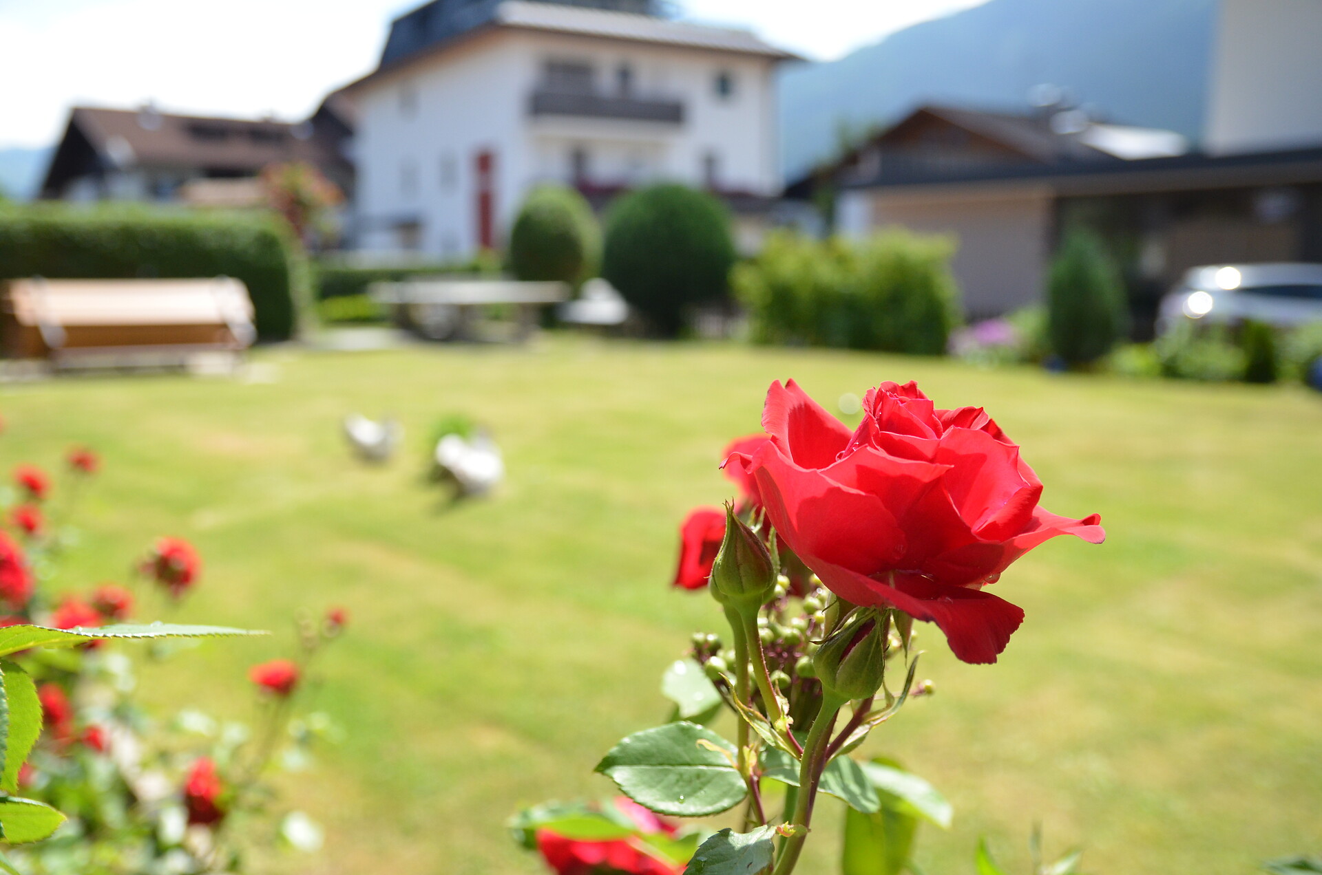 Garten