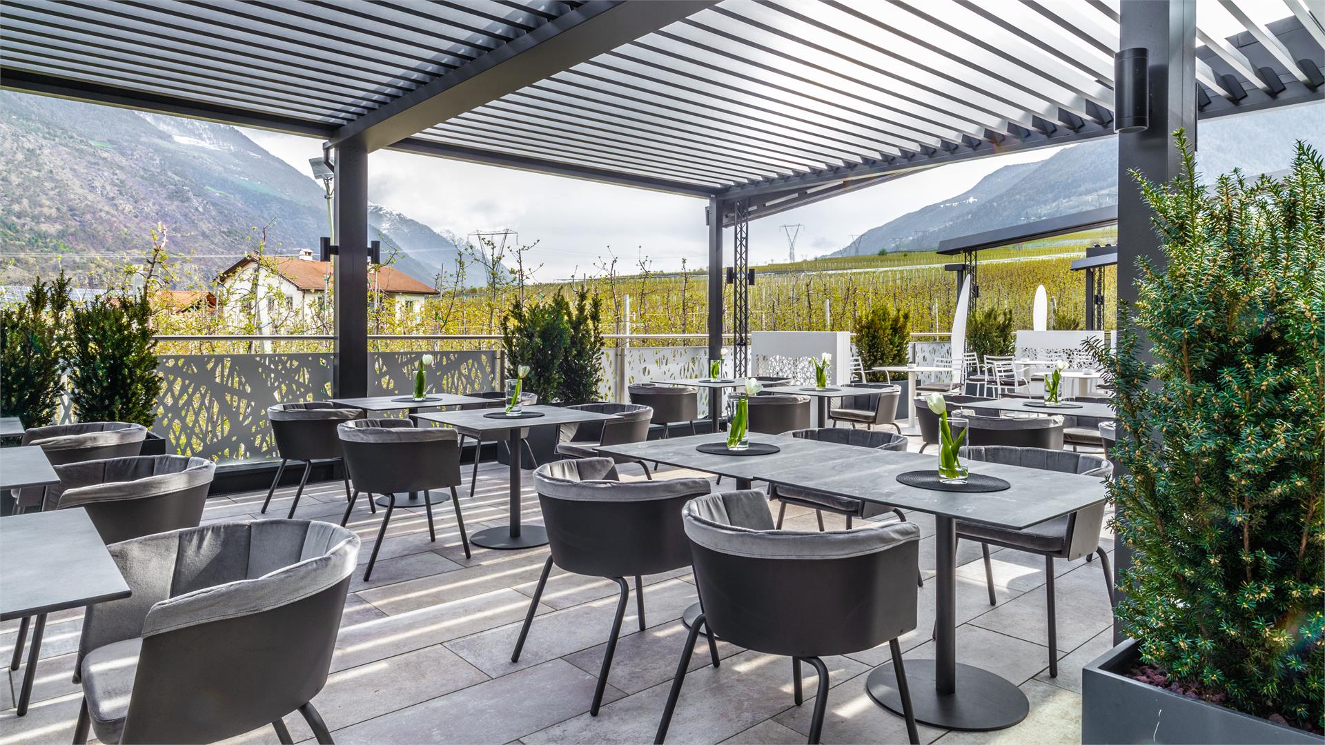 Das Paradies Latsch/Laces 12 suedtirol.info