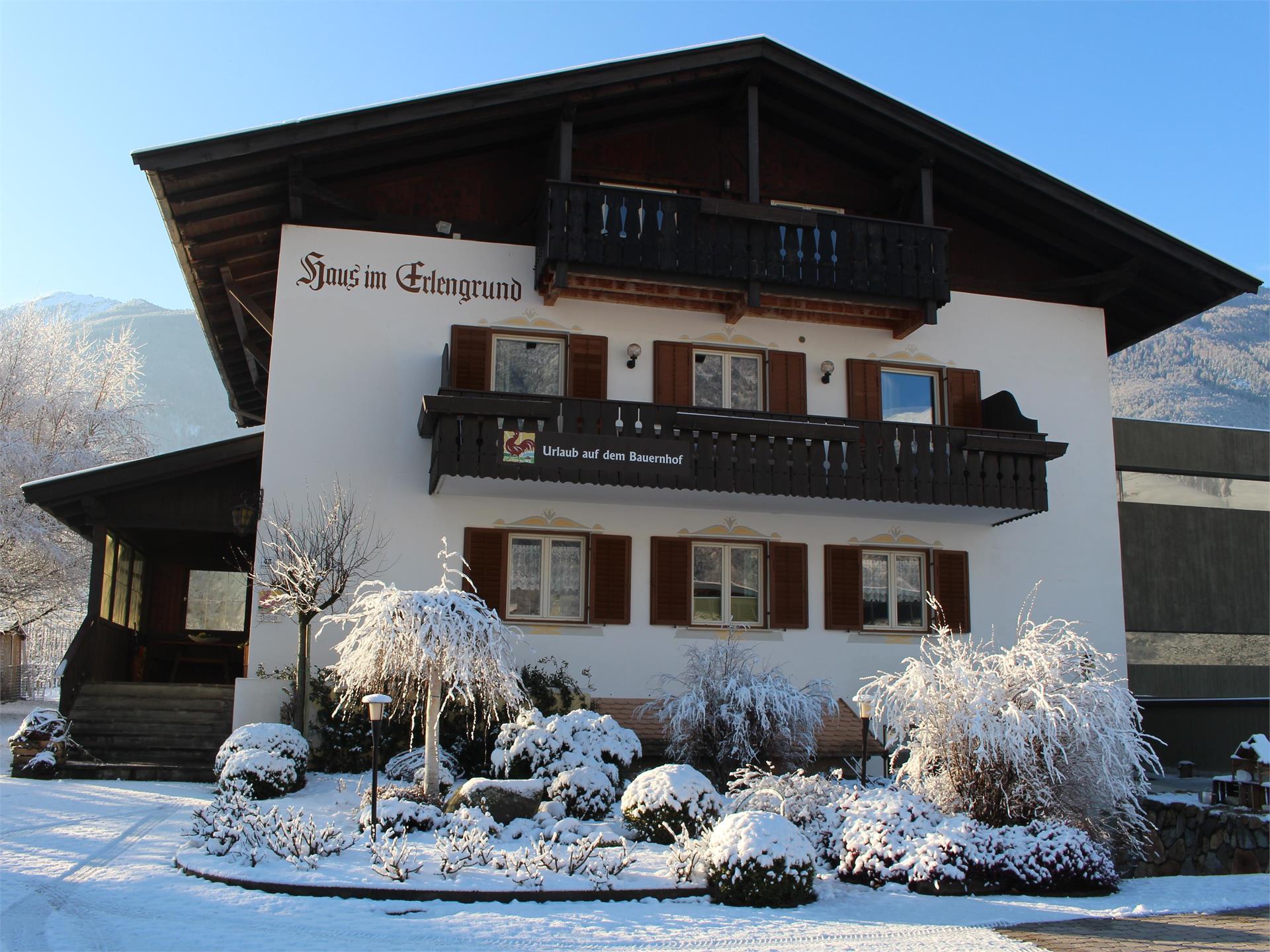 Haus im Erlengrund Latsch/Laces 2 suedtirol.info