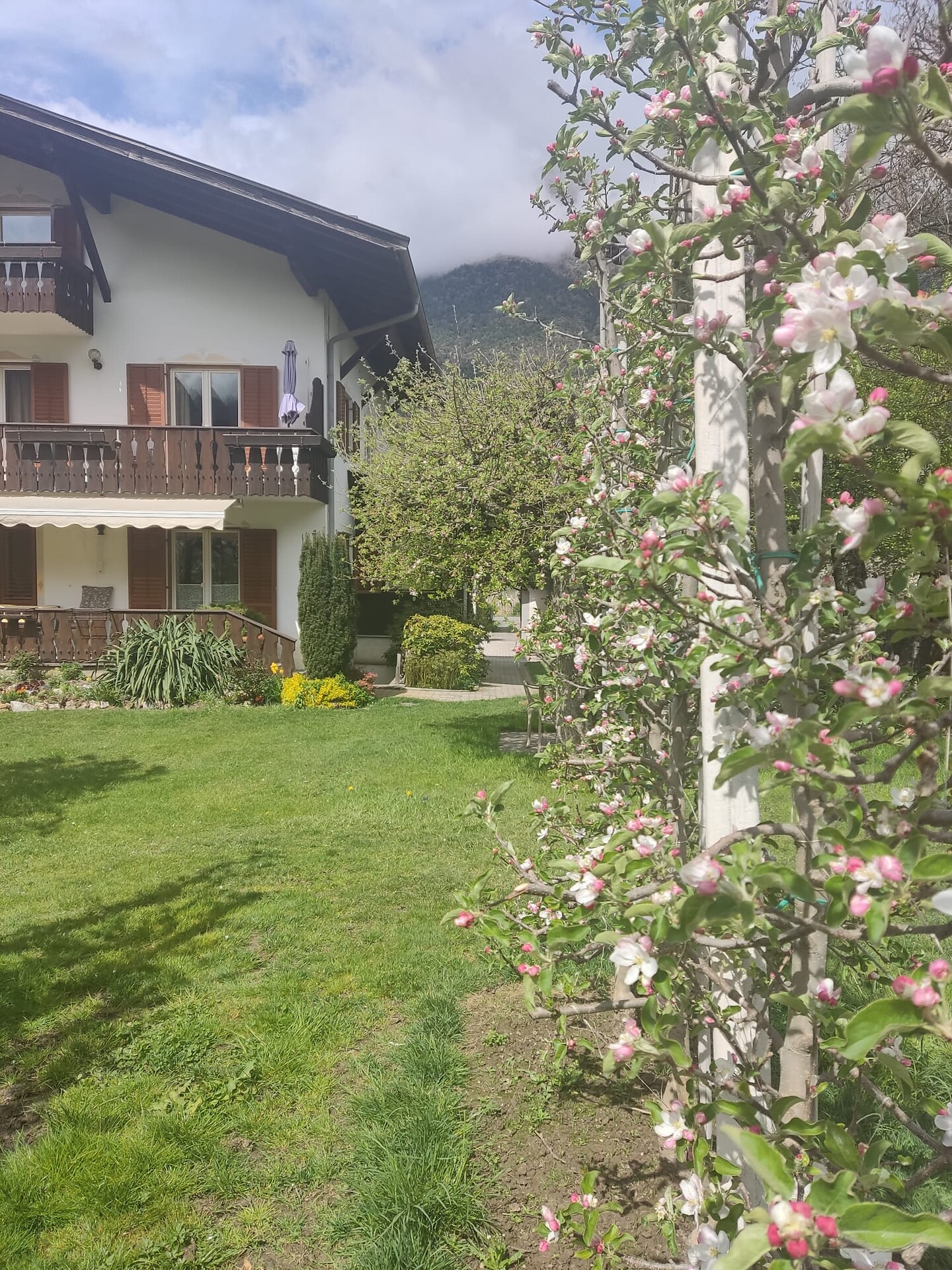Haus im Erlengrund Latsch/Laces 1 suedtirol.info