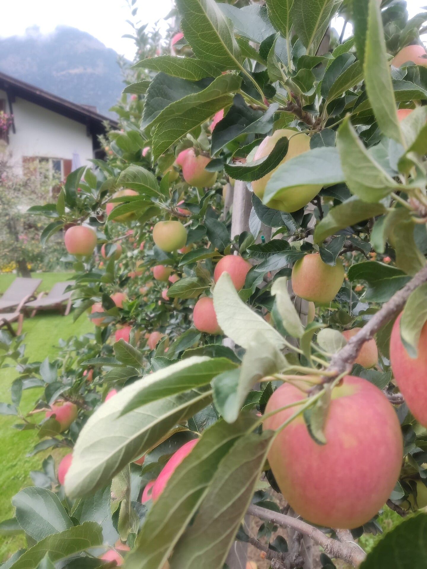 Haus im Erlengrund