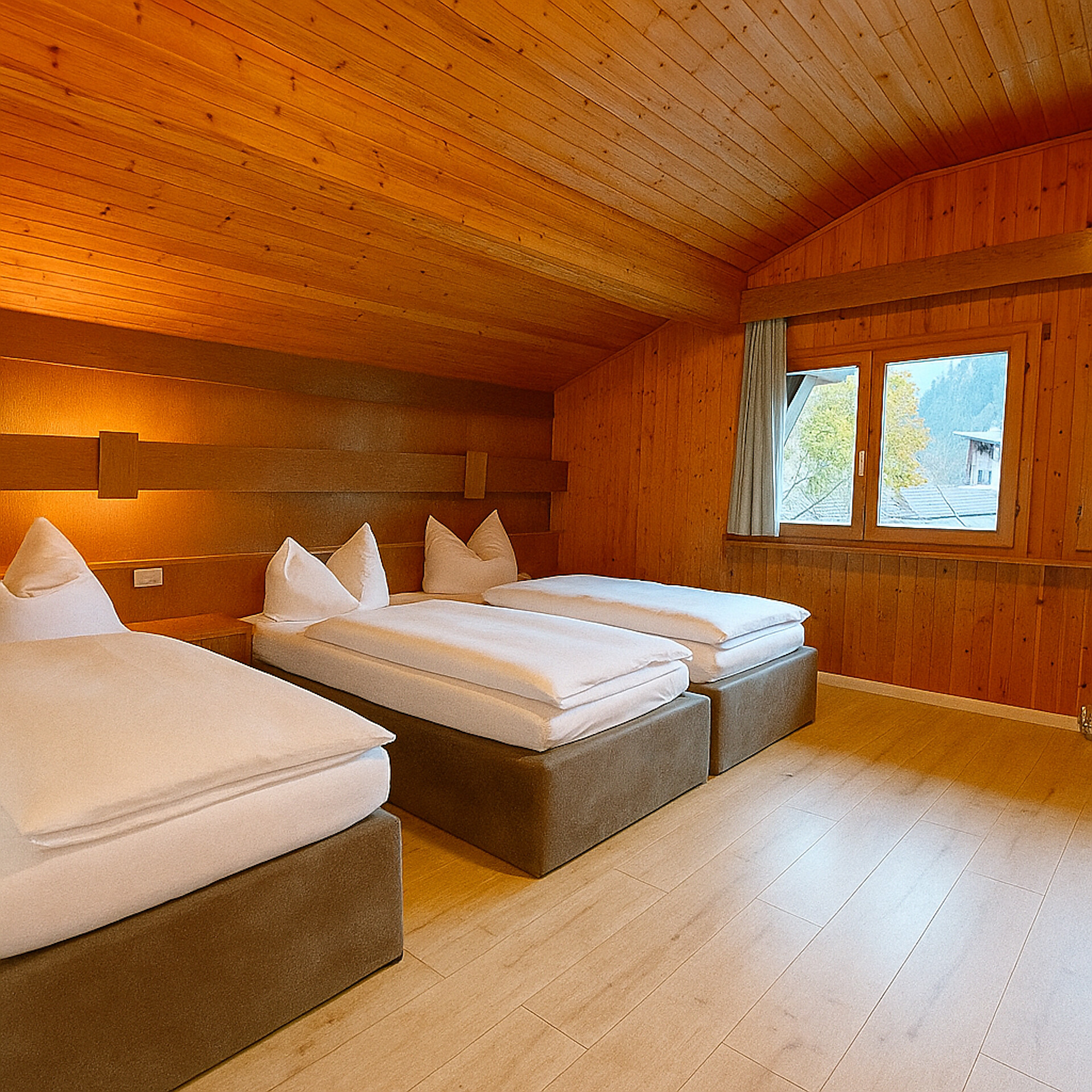 camera standard (43)