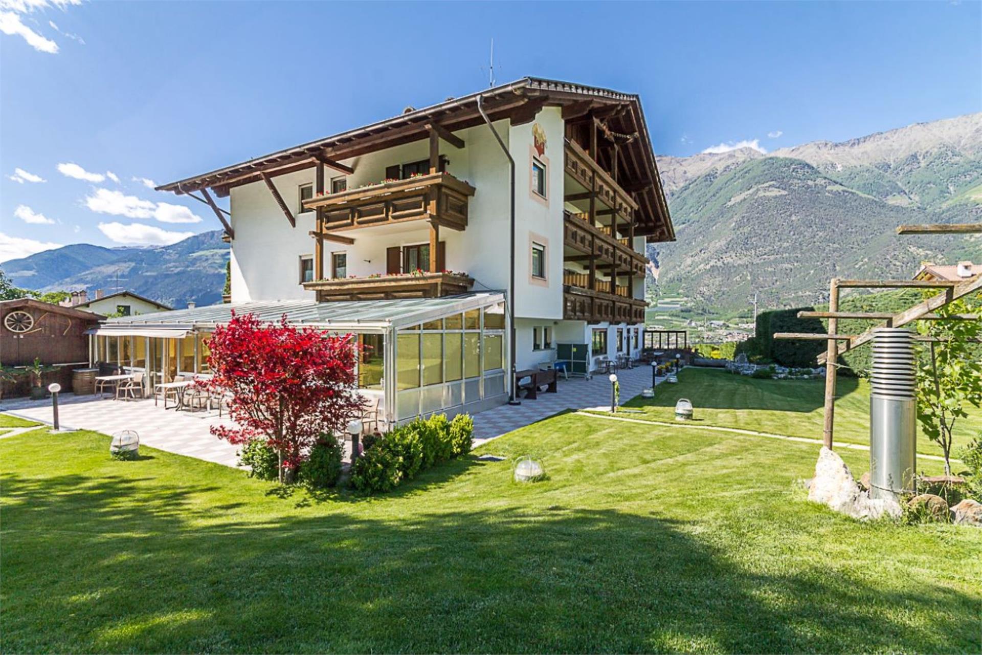 Hotel Montani Latsch/Laces 3 suedtirol.info