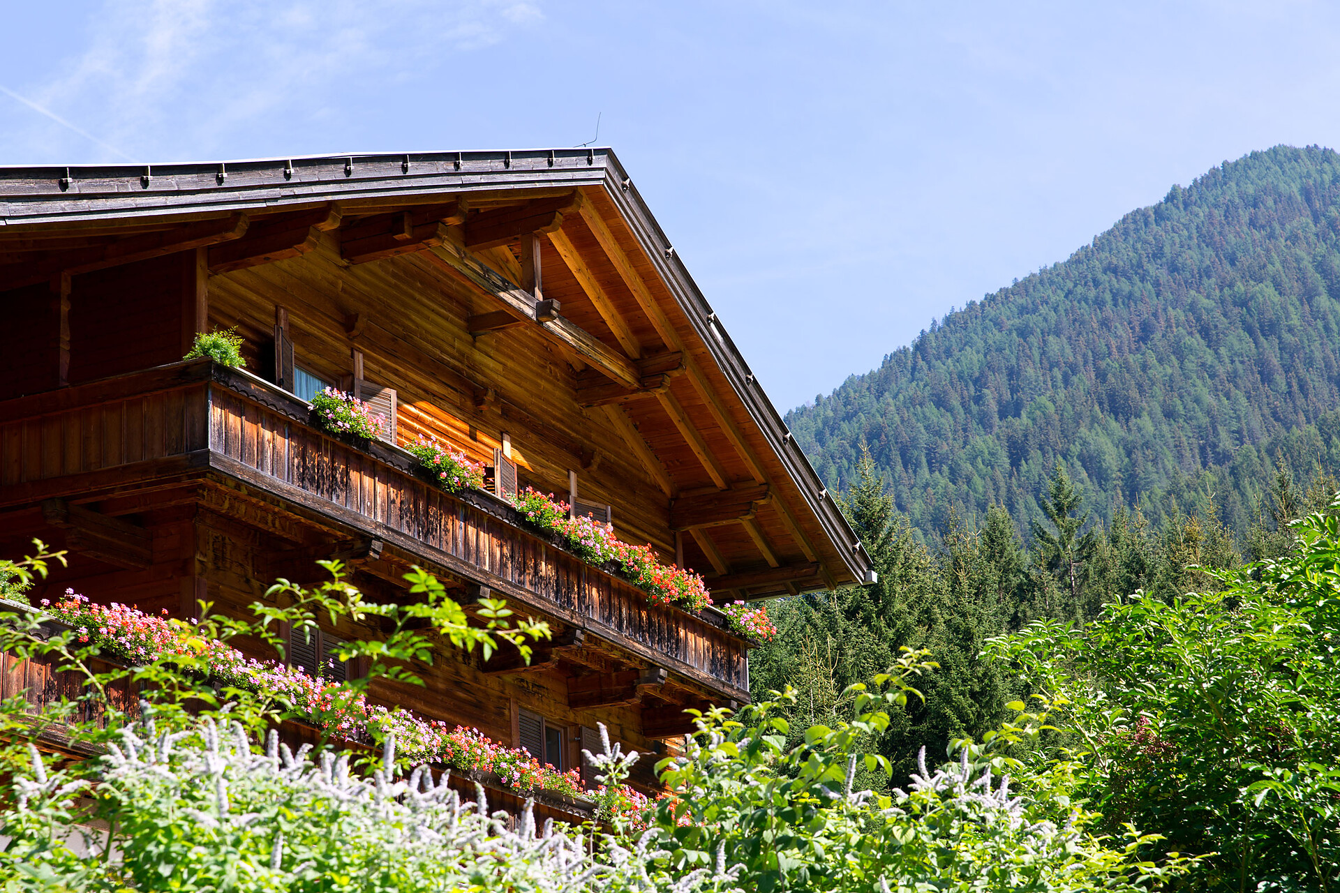 Hotel Waldruhe -  - #11 - suedtirol.info