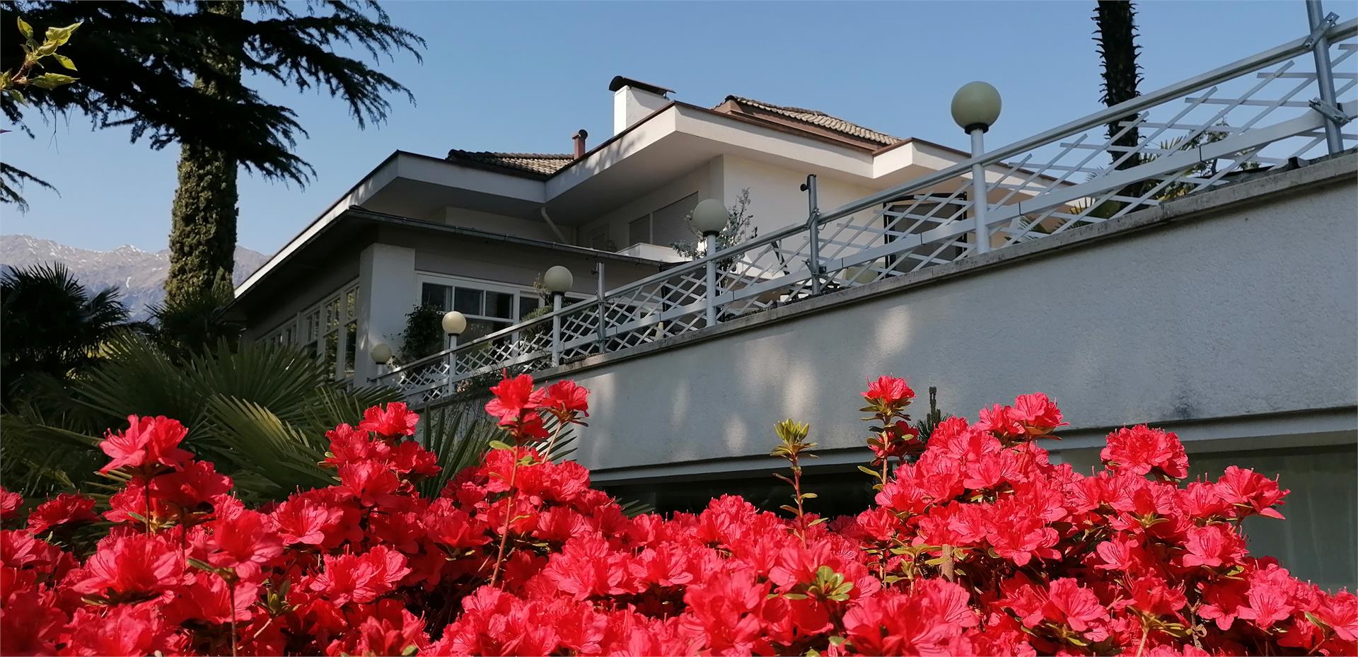 Hotel Annabell Meran 17 suedtirol.info