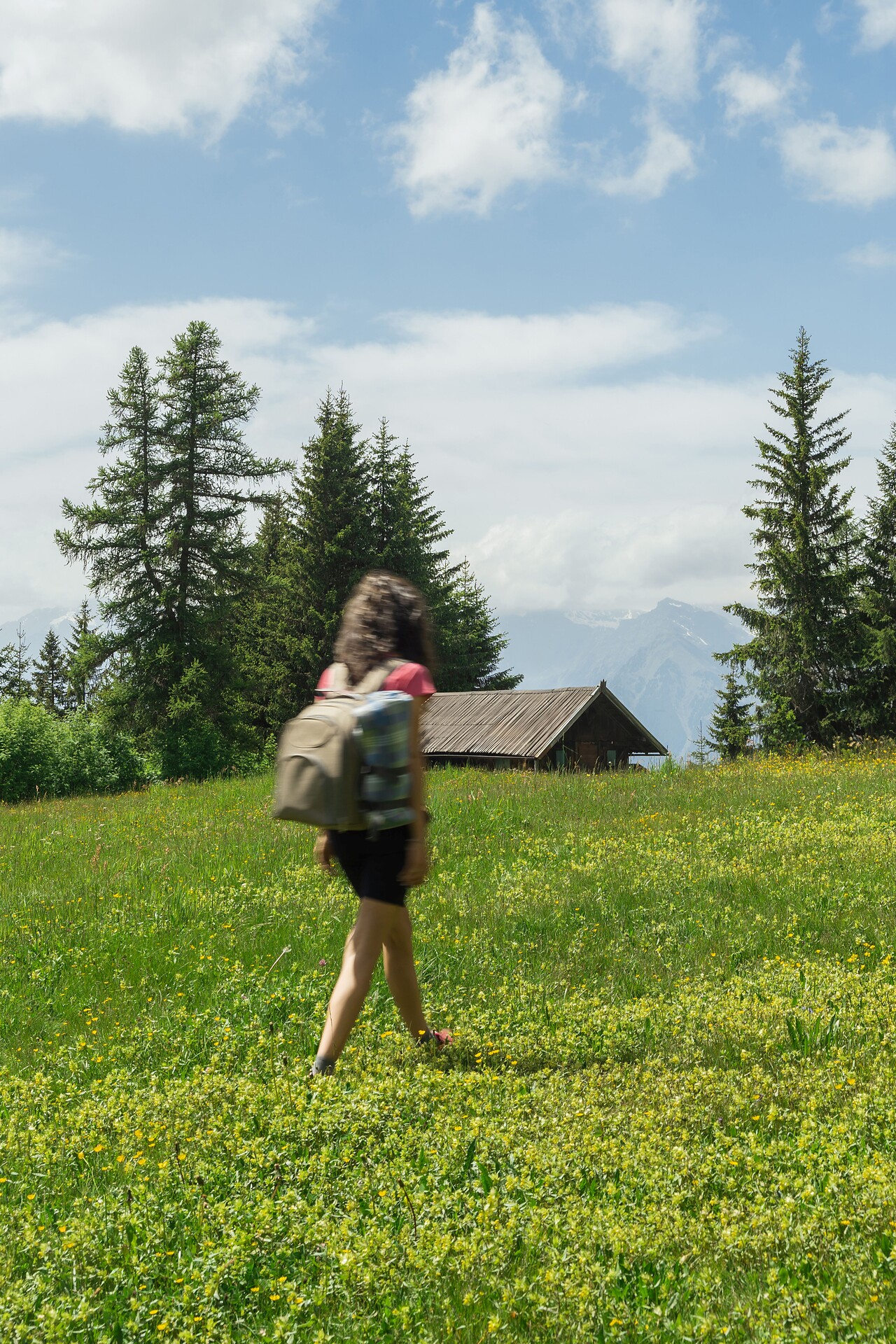 Hiking on Merano 2000