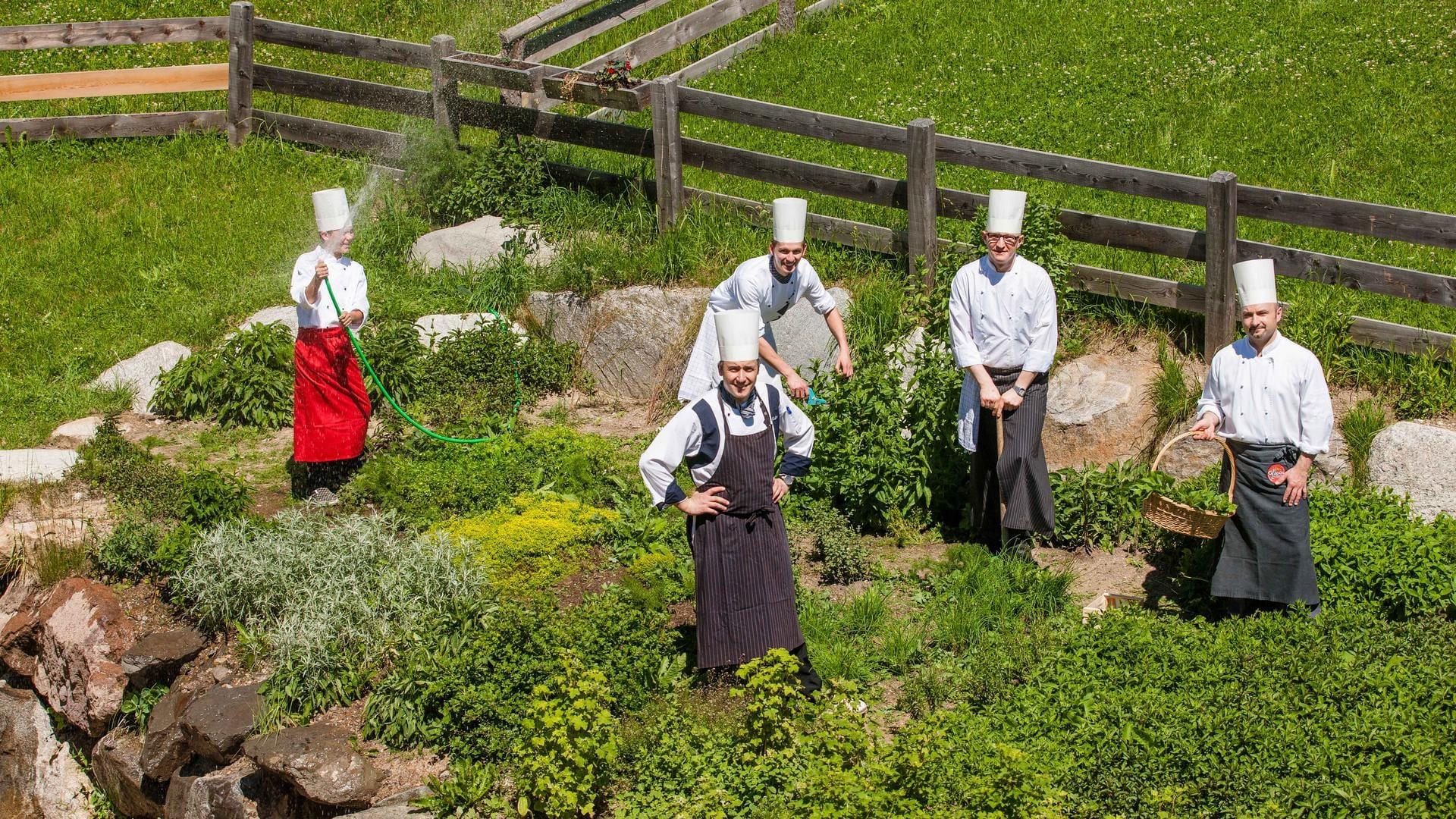 Hotel Falzeben Avelengo 17 suedtirol.info