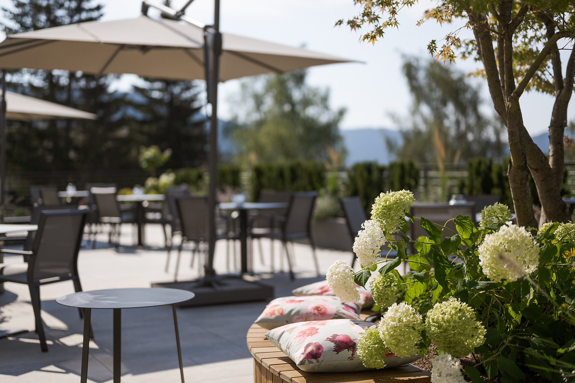 Hotel Salten Terrazza