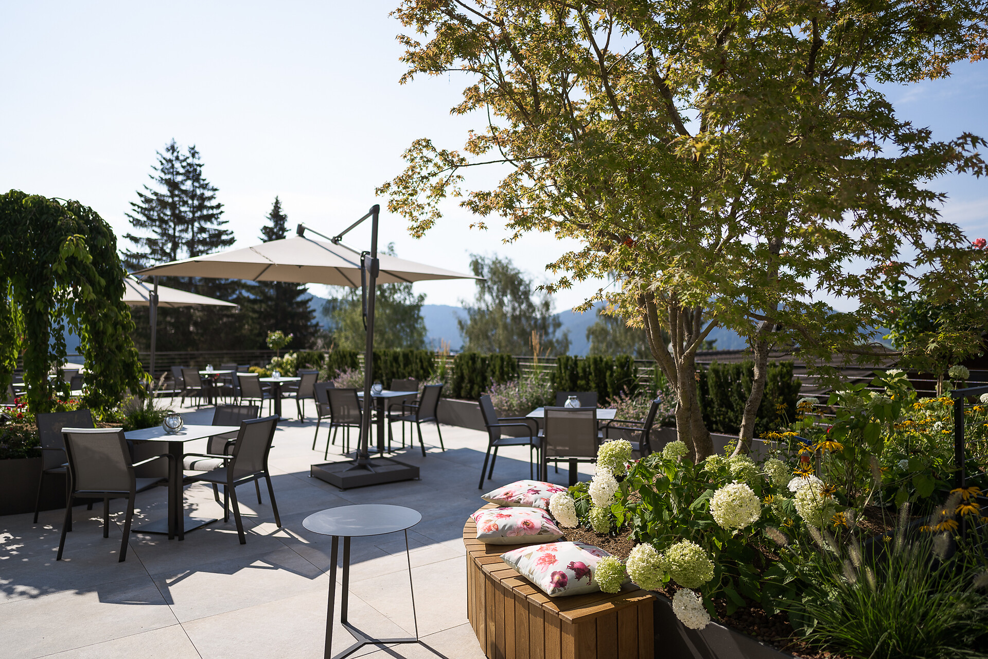 Hotel Salten Terrazza