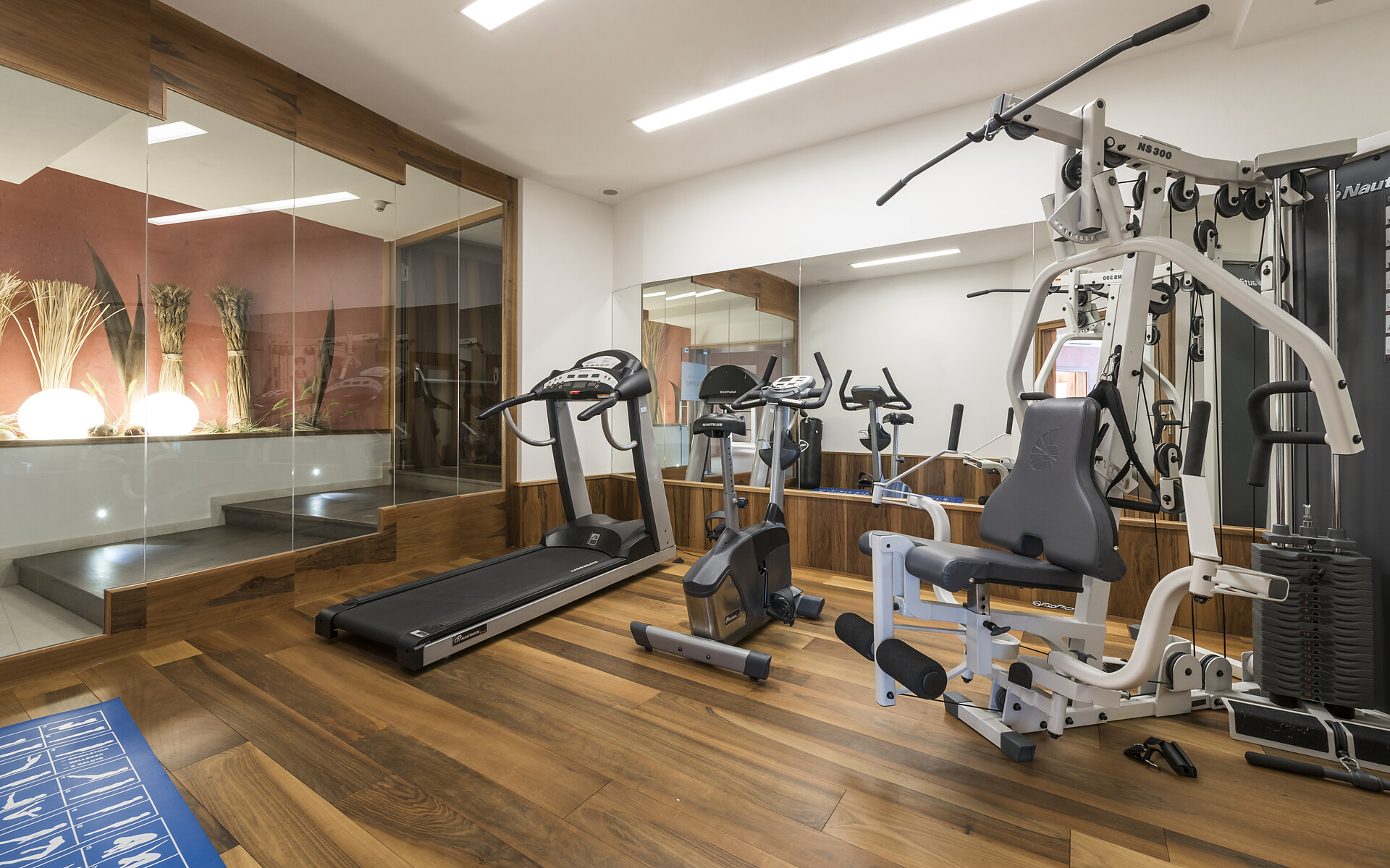 Fitness