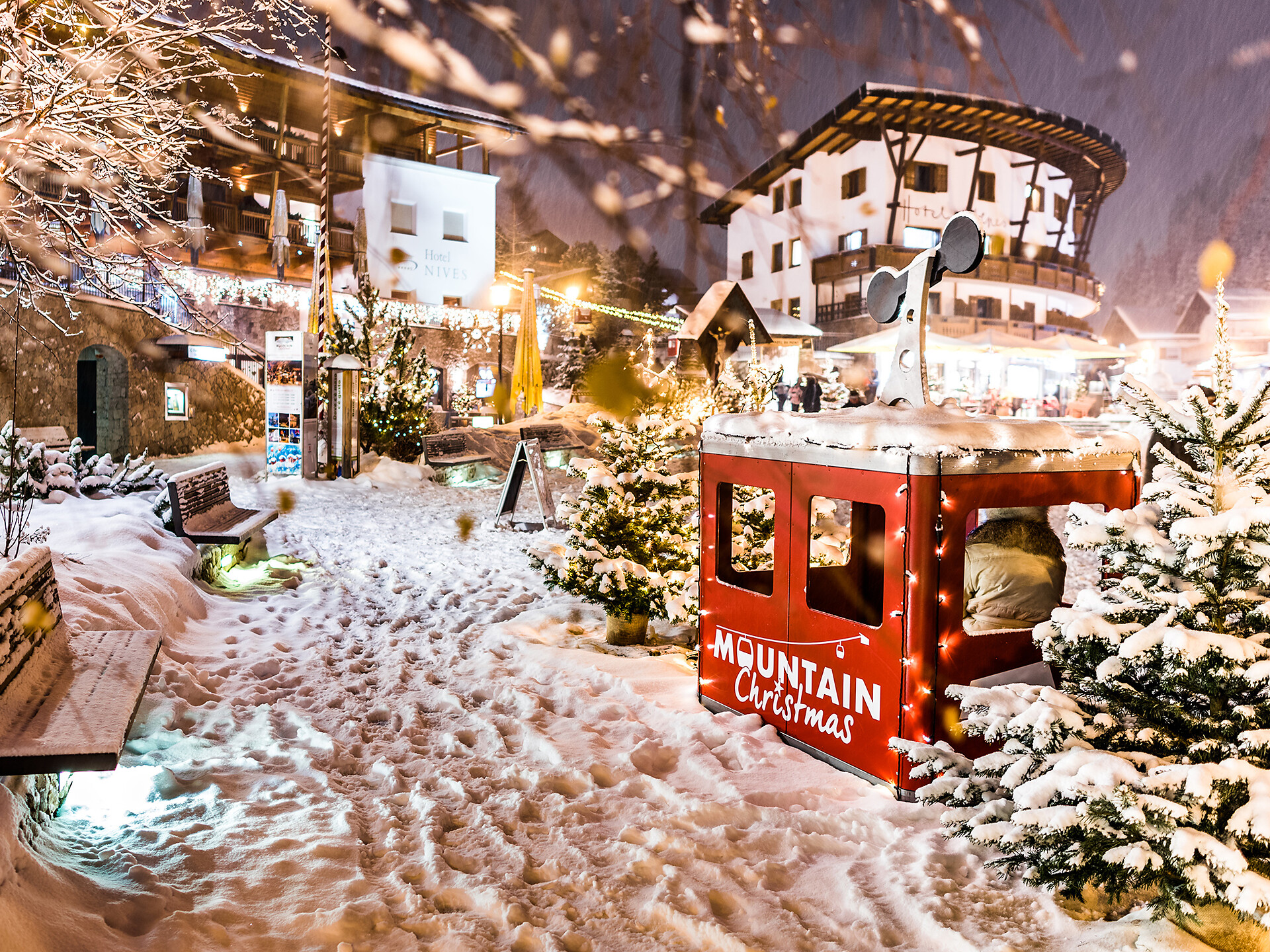 Hotel Des Alpes
