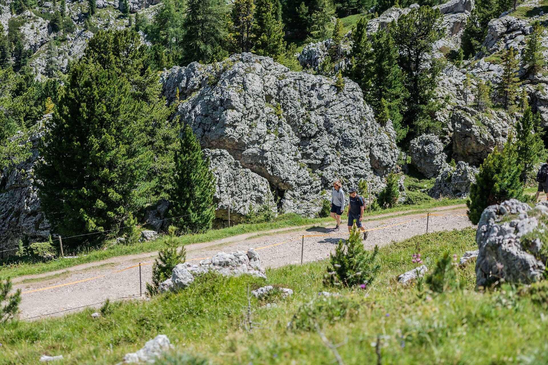 Berge Sommer