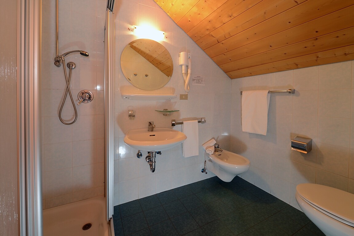 Hotel Alpin Haus SMART & FAMILY Sëlva/Selva 6 suedtirol.info