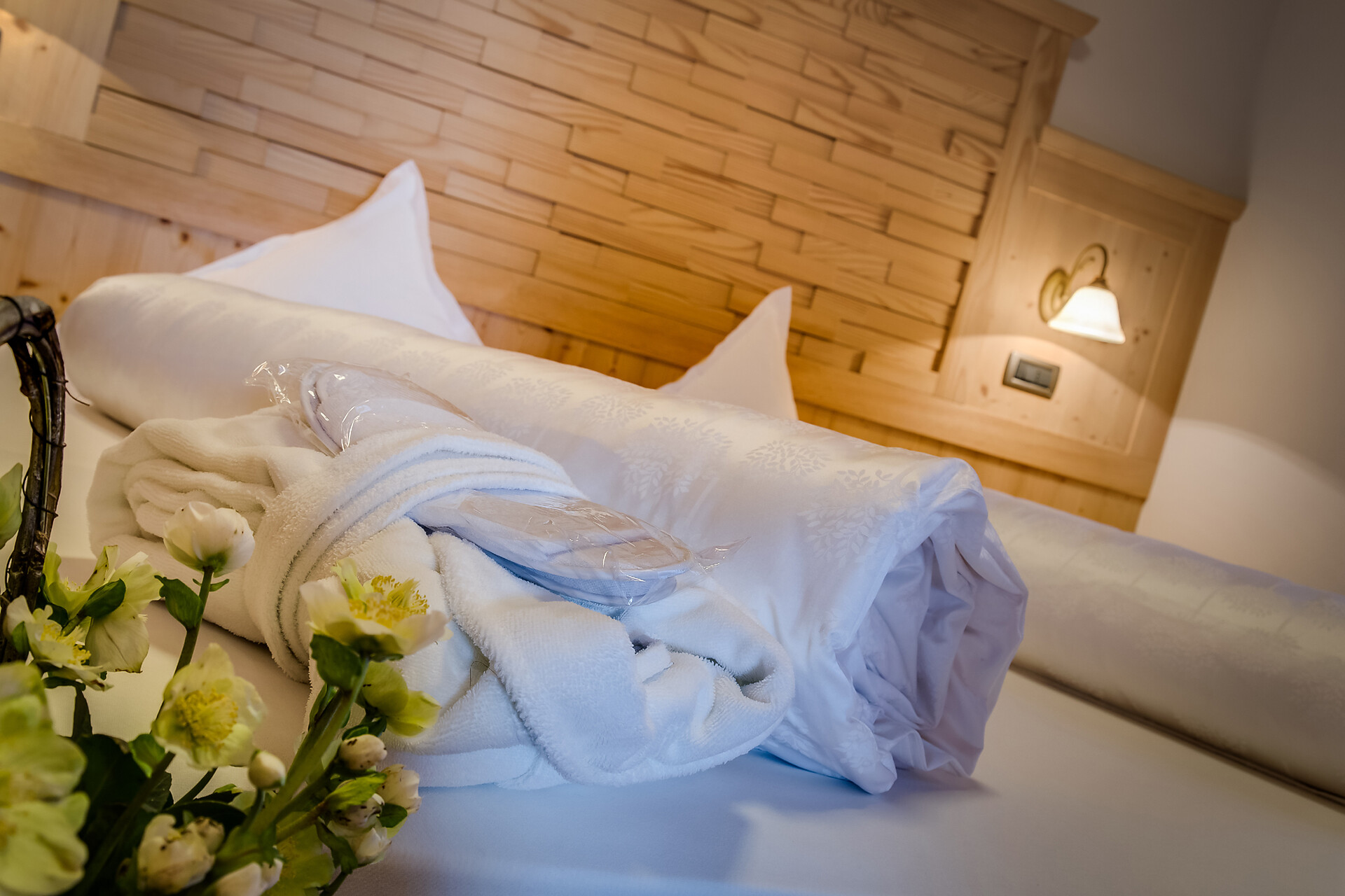 Hotel Fanes