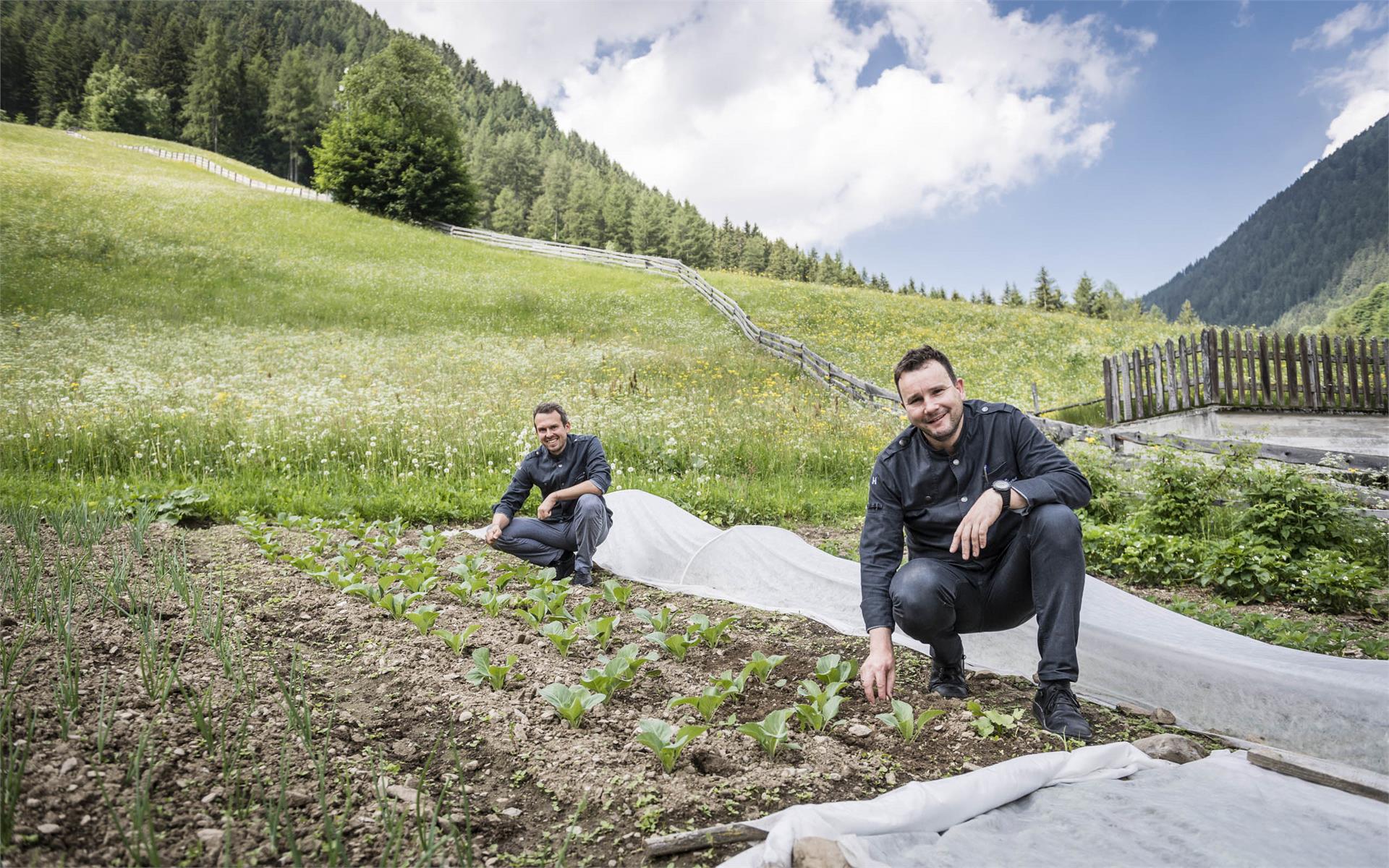 Hotel Jaufentalerhof Ratschings/Racines 25 suedtirol.info