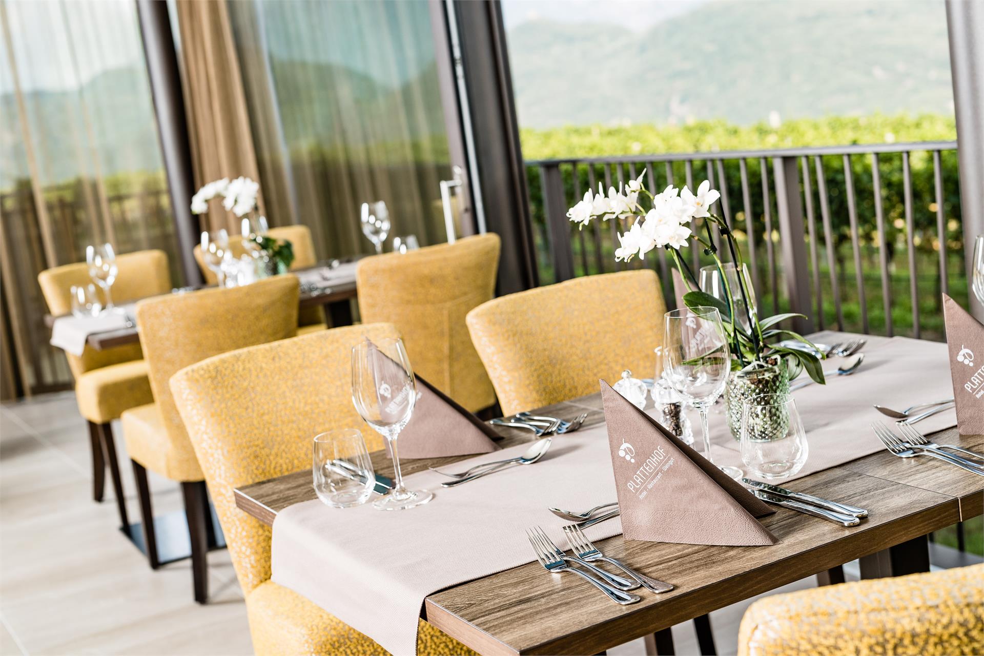 Hotel Plattenhof Tramin an der Weinstraße/Termeno sulla Strada del Vino 17 suedtirol.info