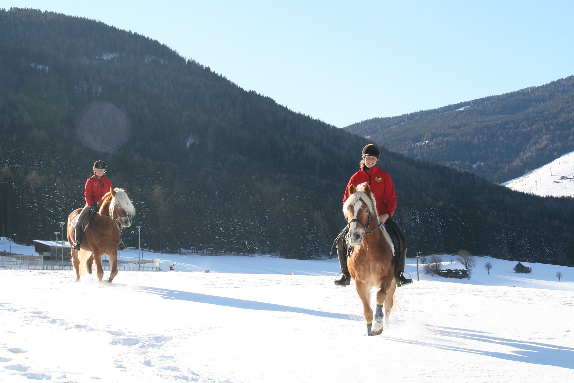 Reiten auf unserem Reiterhof Tolderhof