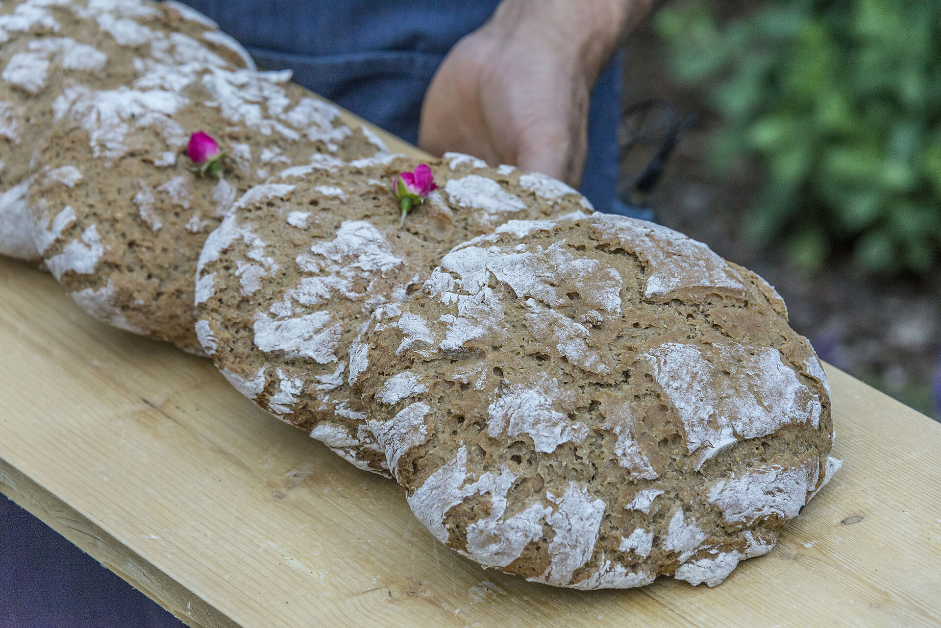Brot