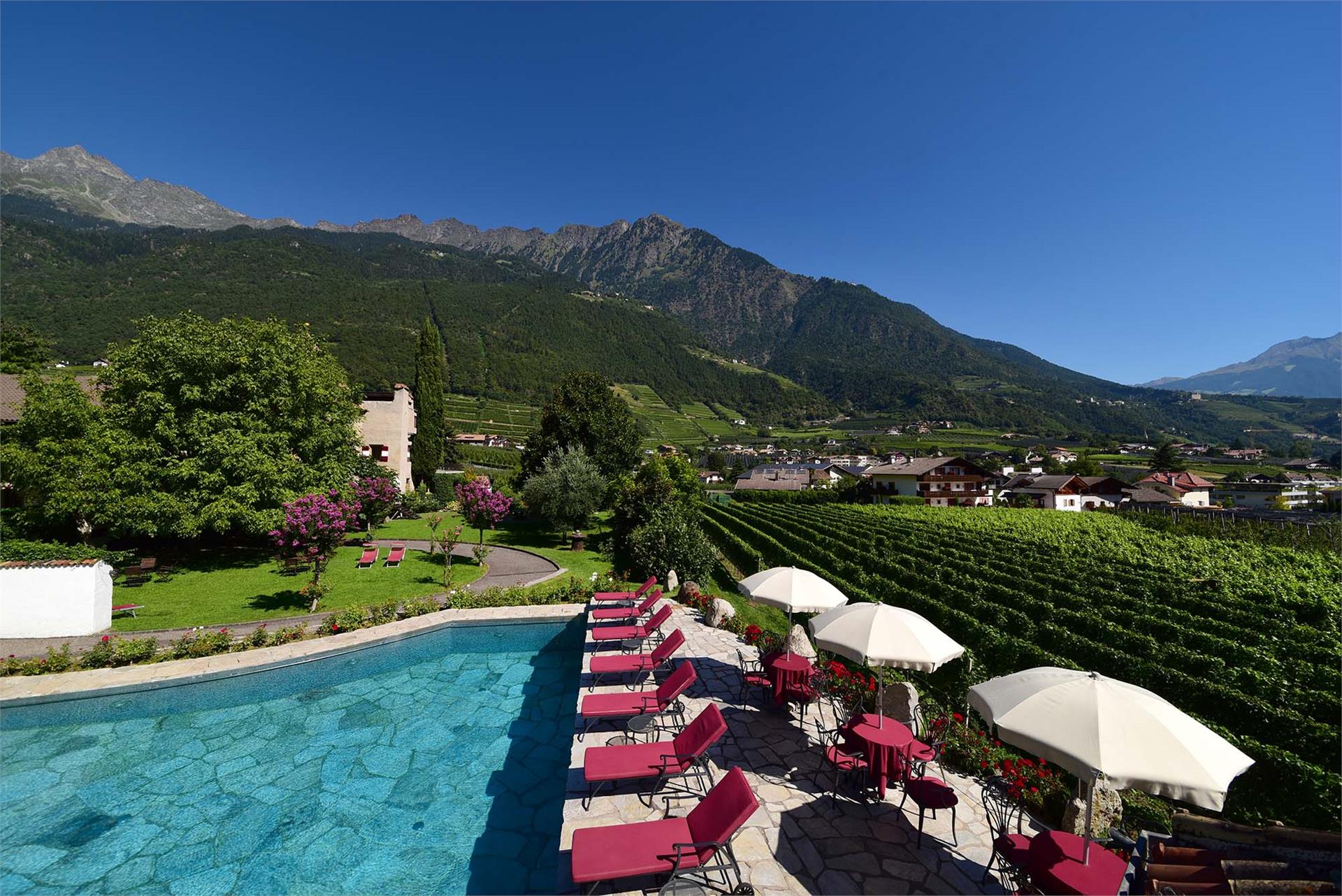 Hotel-Garni Ansitz Pünthof Algund/Lagundo 7 suedtirol.info