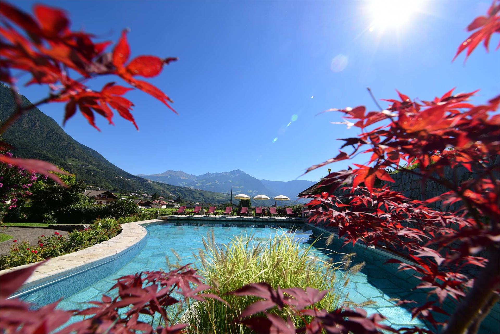 Hotel-Garni Ansitz Pünthof Algund/Lagundo 5 suedtirol.info
