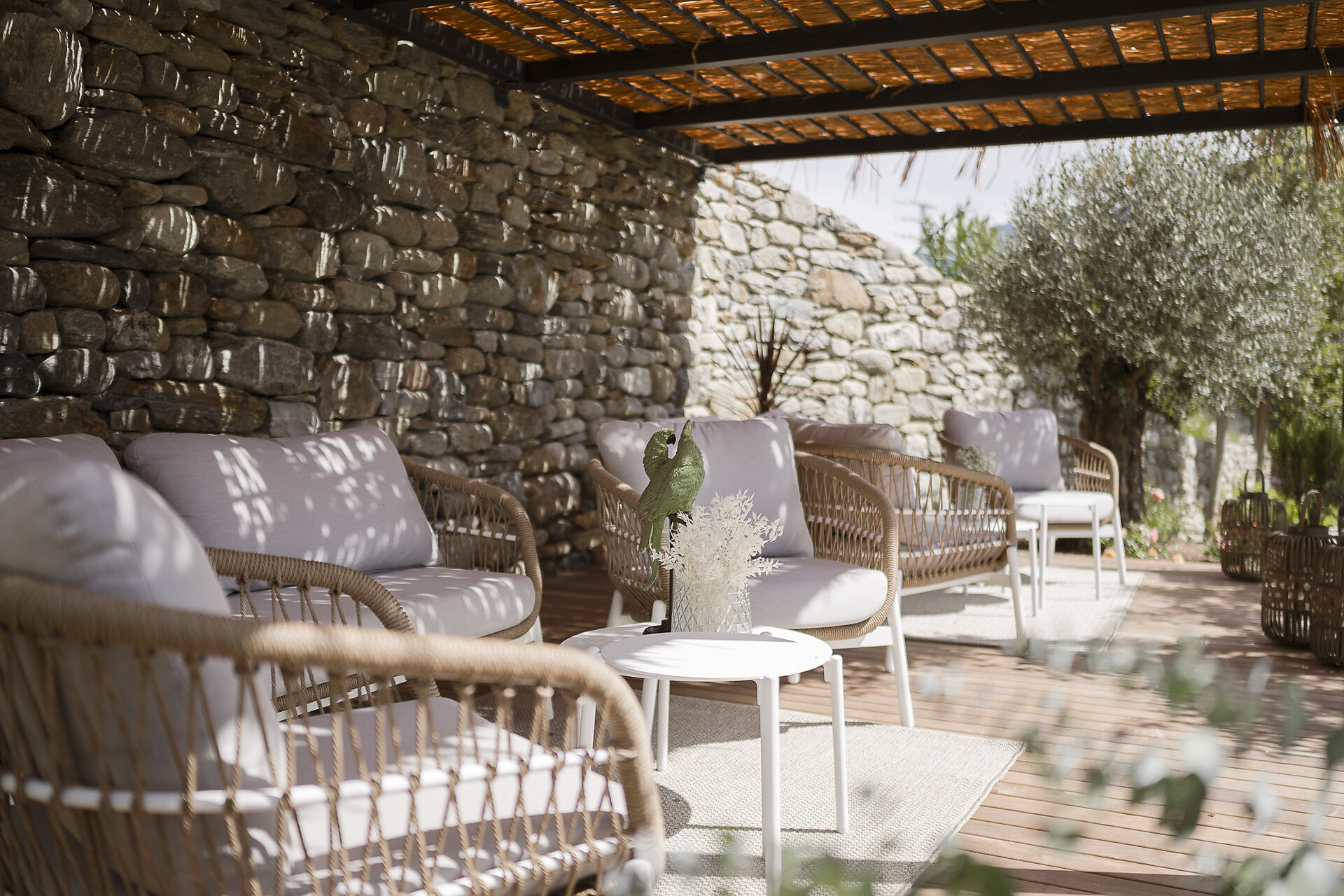 Giardino
