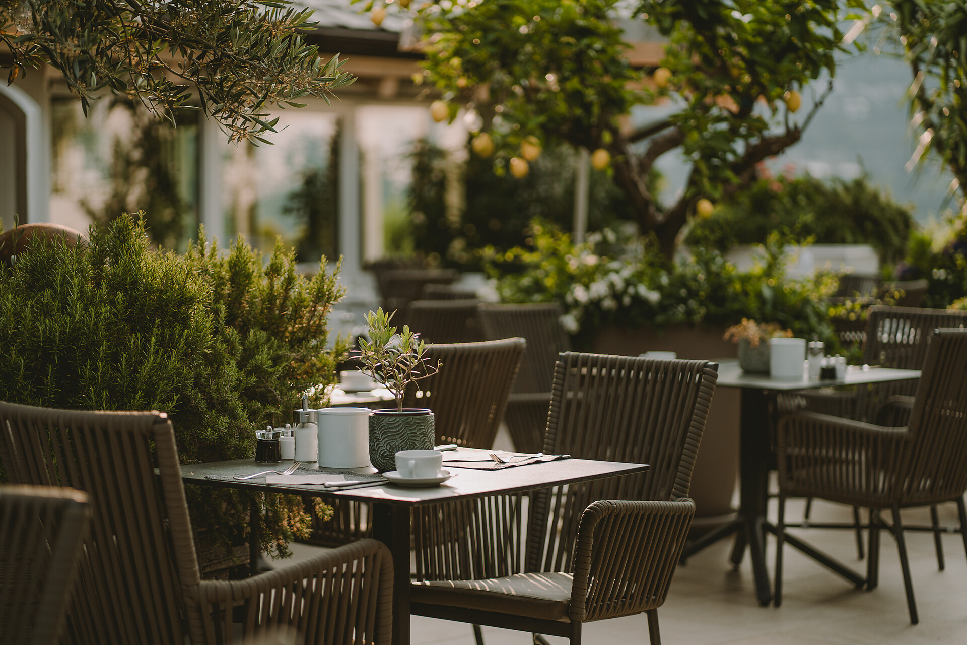 Terrasse