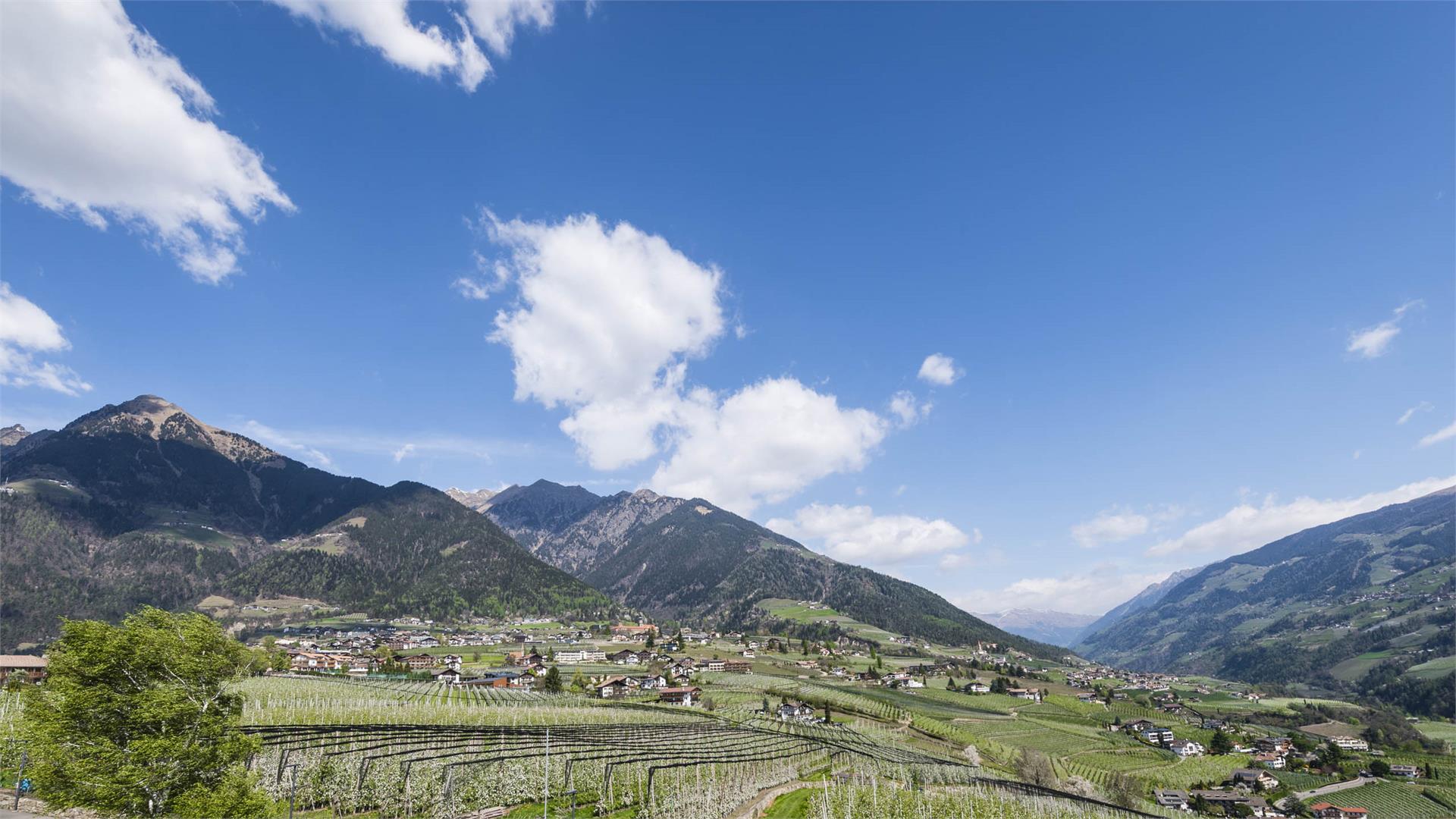 Hotel Lisetta Tirol 15 suedtirol.info