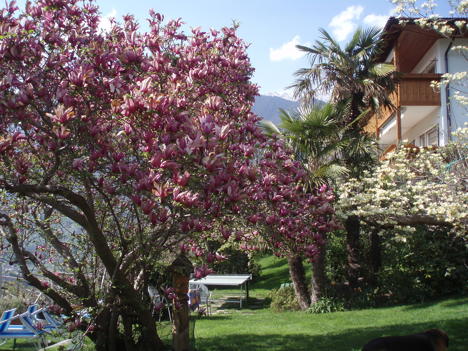 nostro giardino