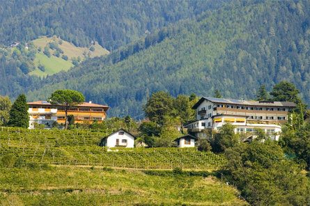 Hotel Bellevue Tirol/Tirolo 3 suedtirol.info
